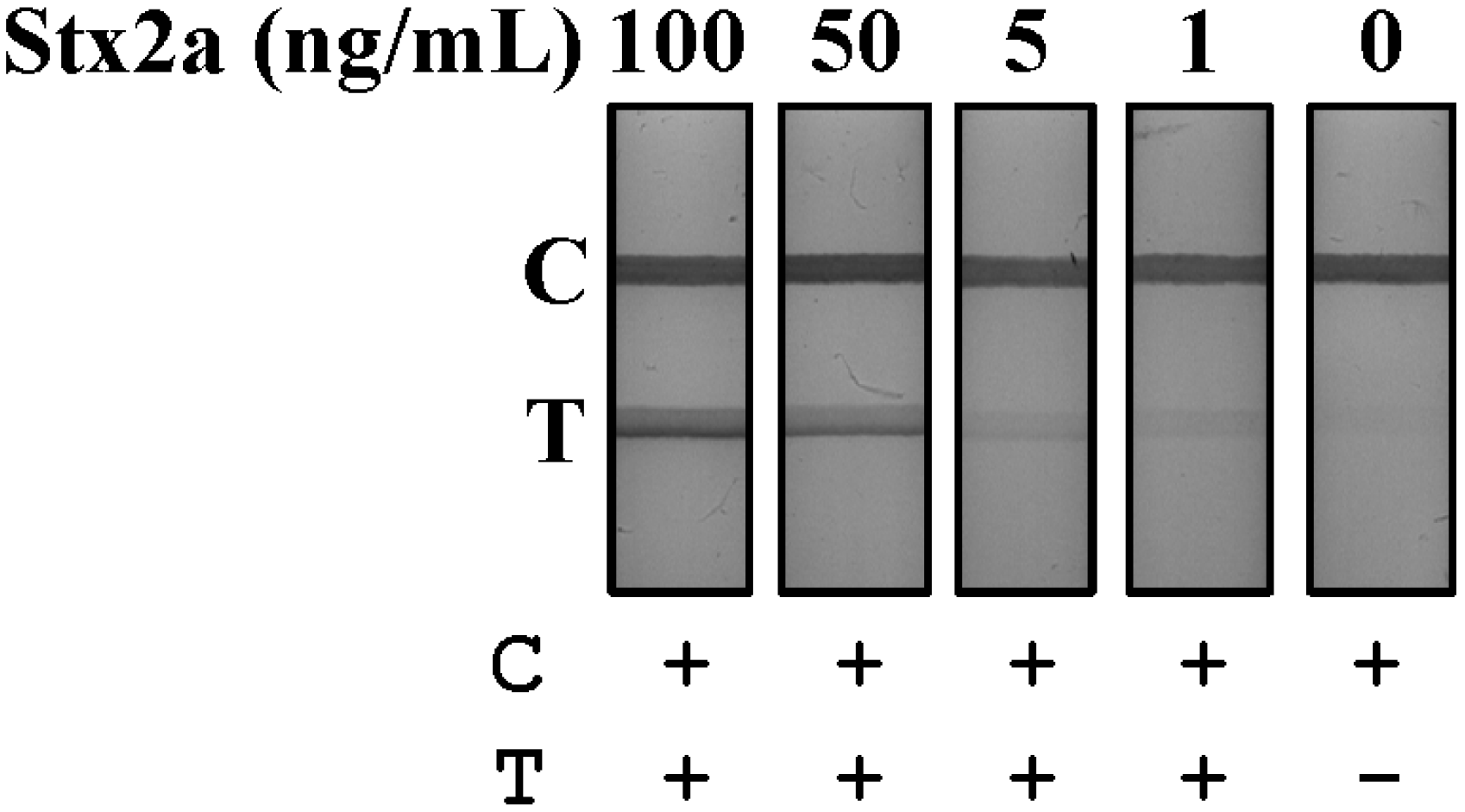 Toxins 07 01163 g004 1024