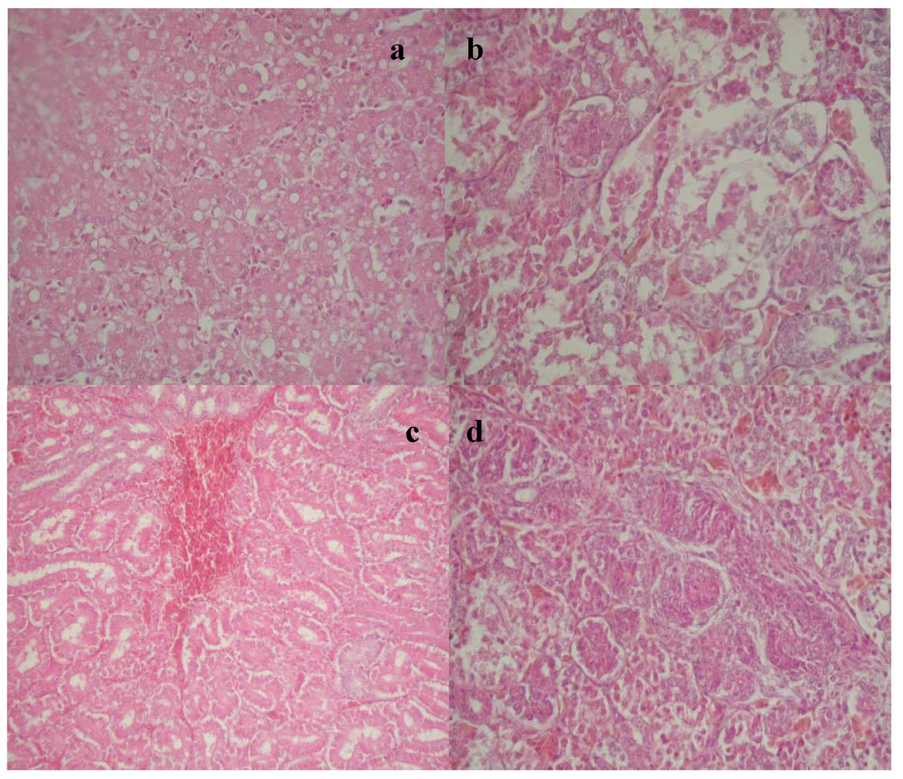 Toxins 07 01174 g001 1024