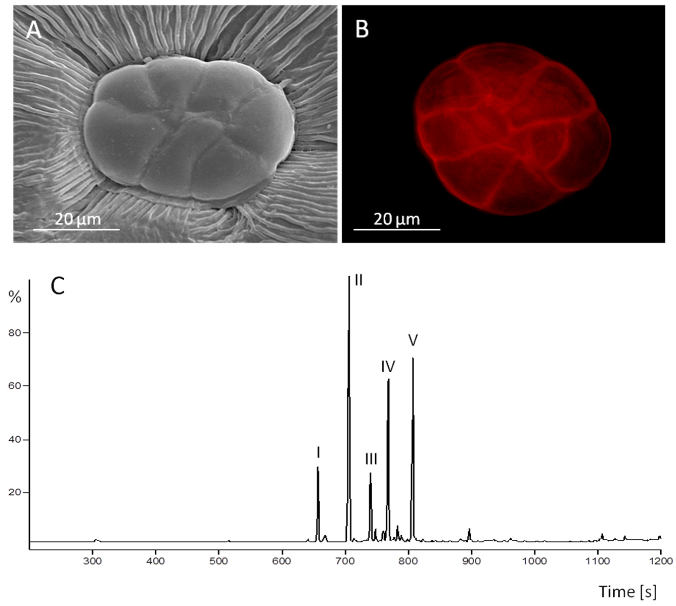 Toxins 07 01355 g001 1024