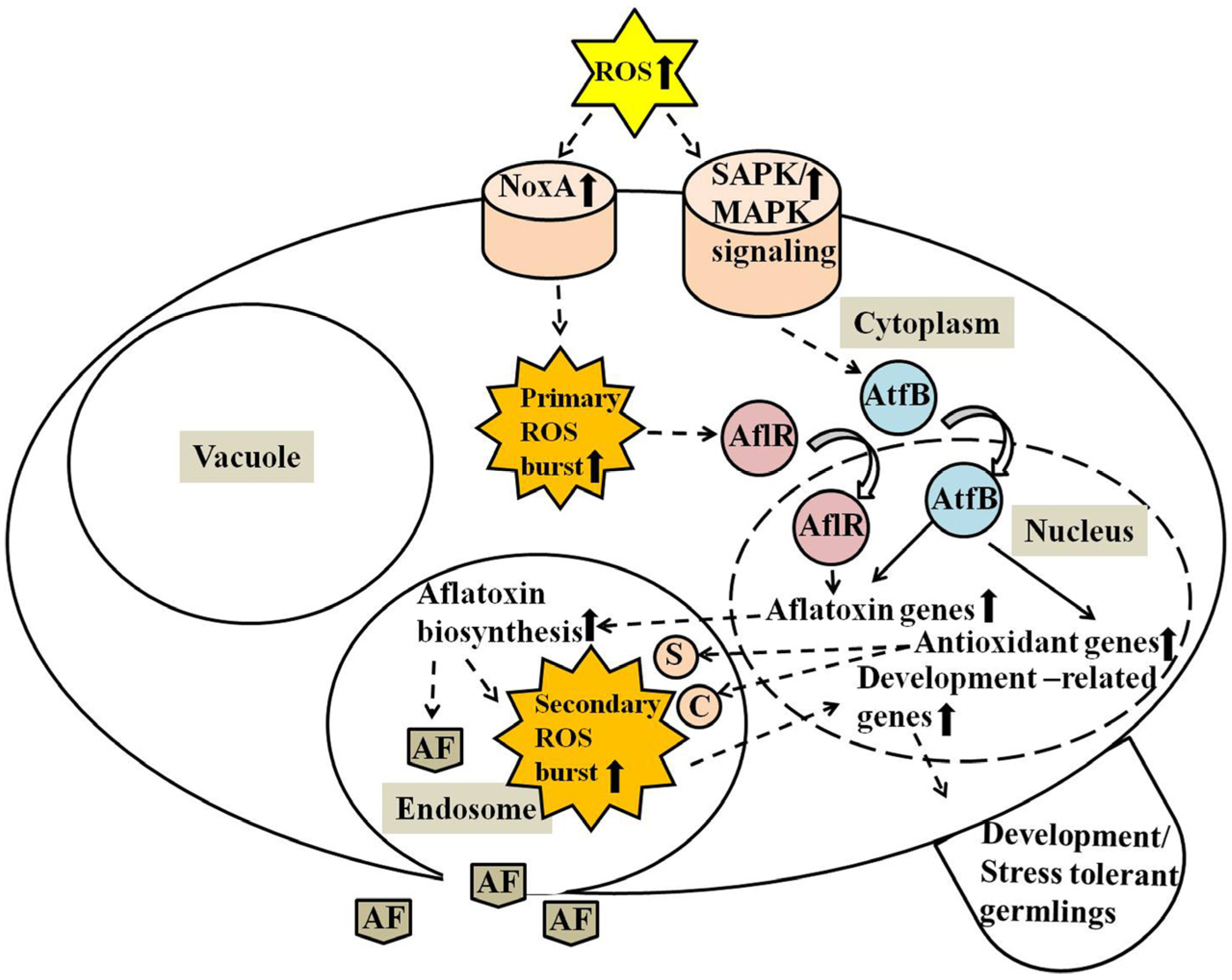 Toxins 07 01411 g006