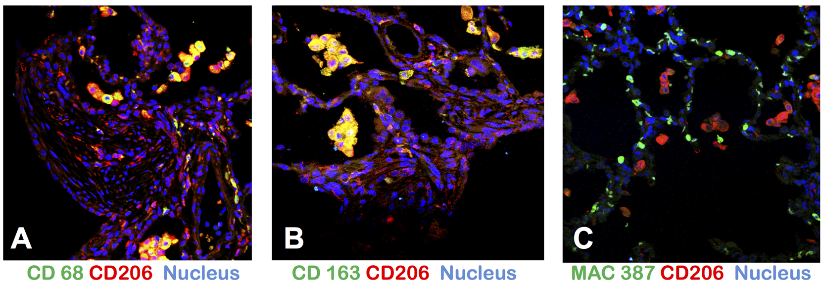 Toxins 07 02121 g005 1024