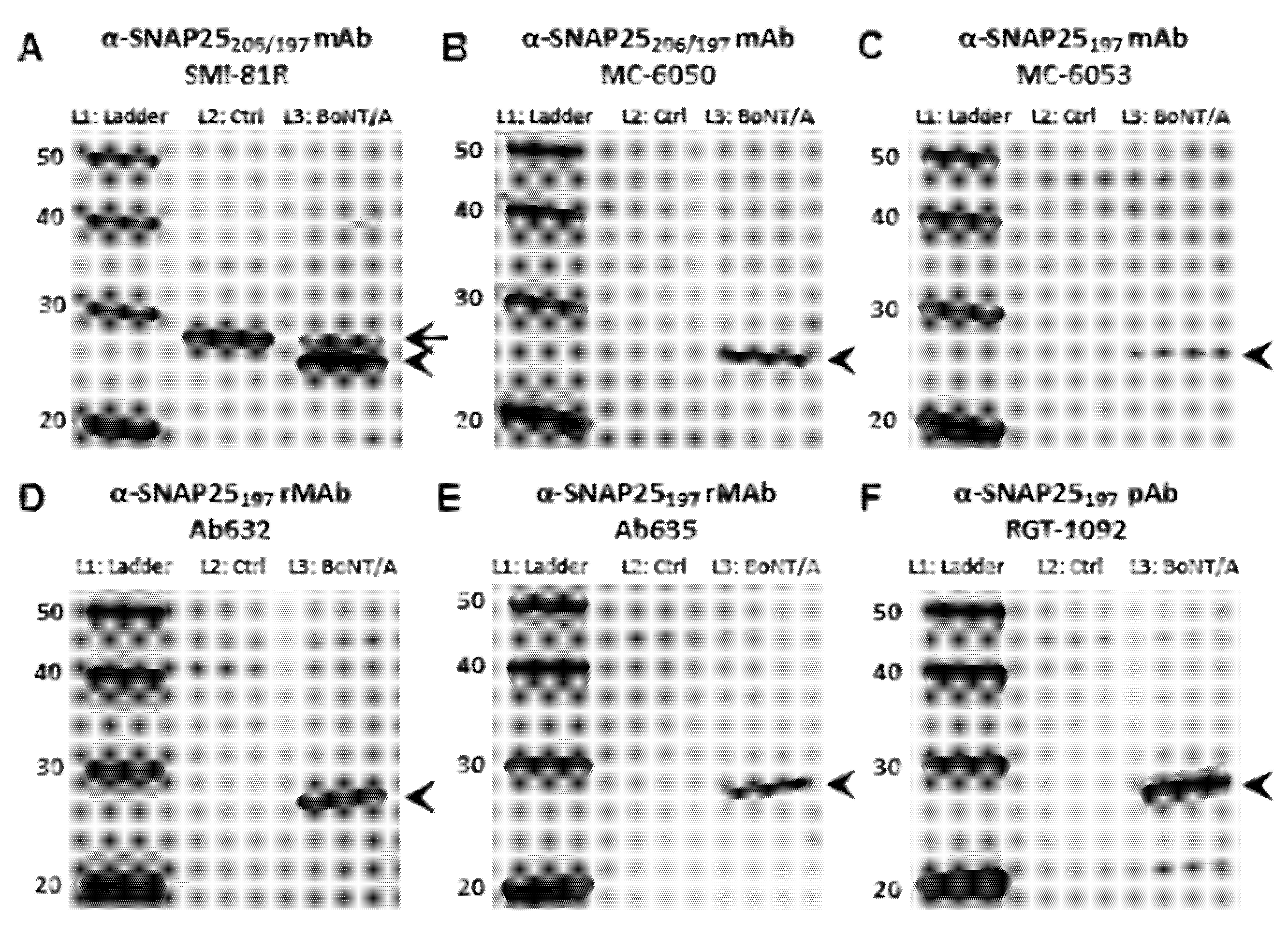 Toxins 07 02354 g001