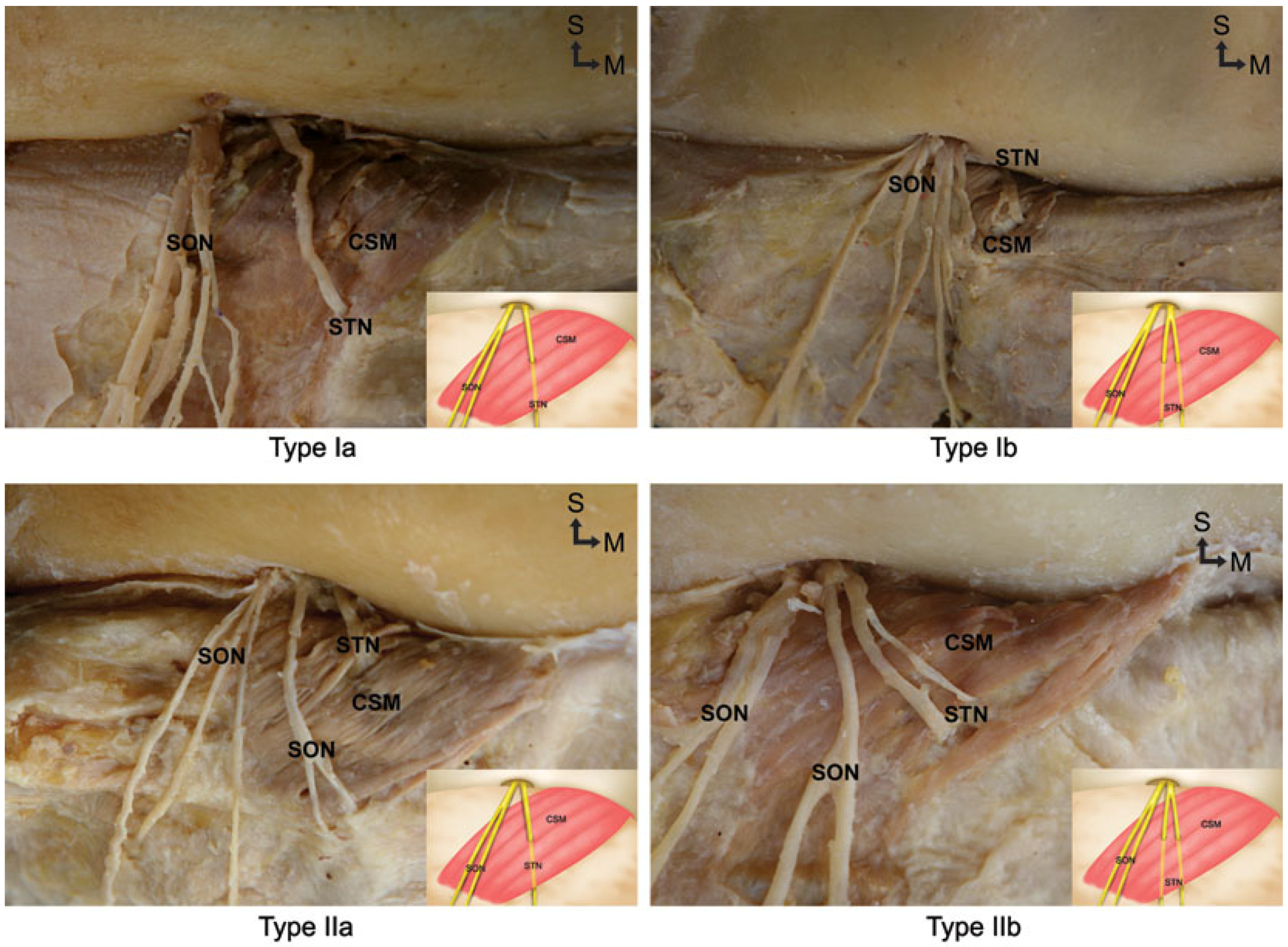 Toxins 07 02629 g001 1024