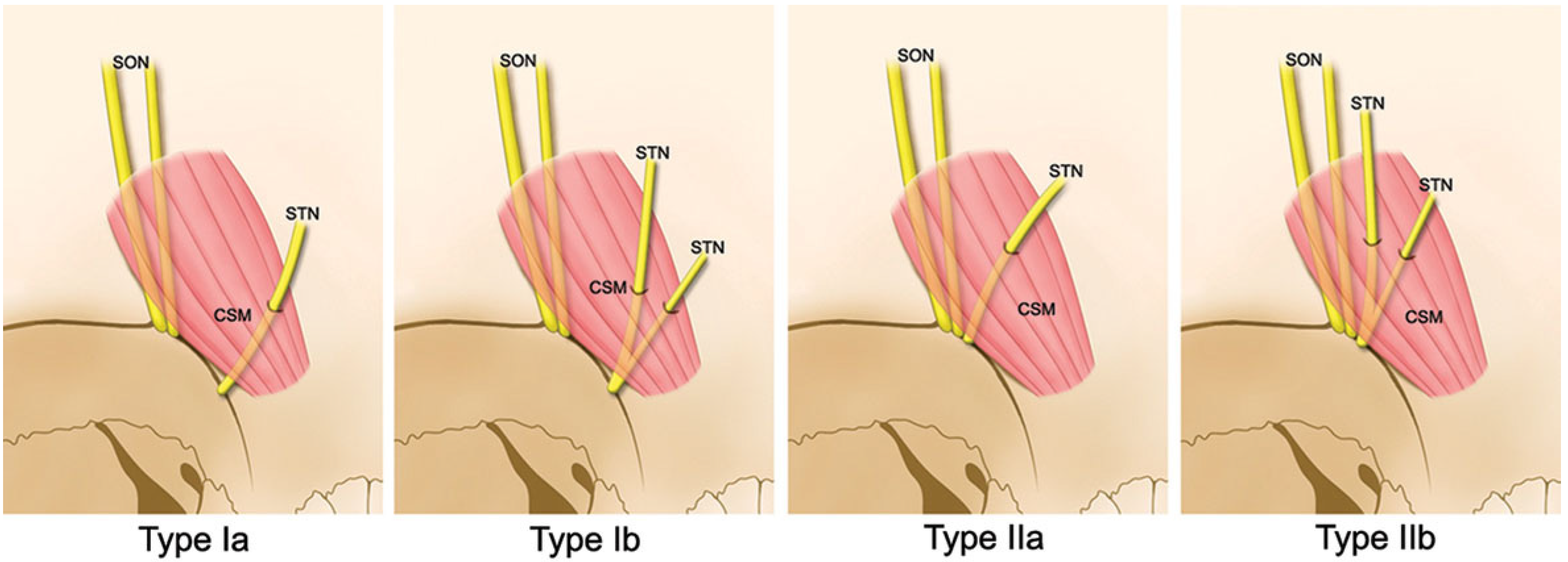 Toxins 07 02629 g004 1024