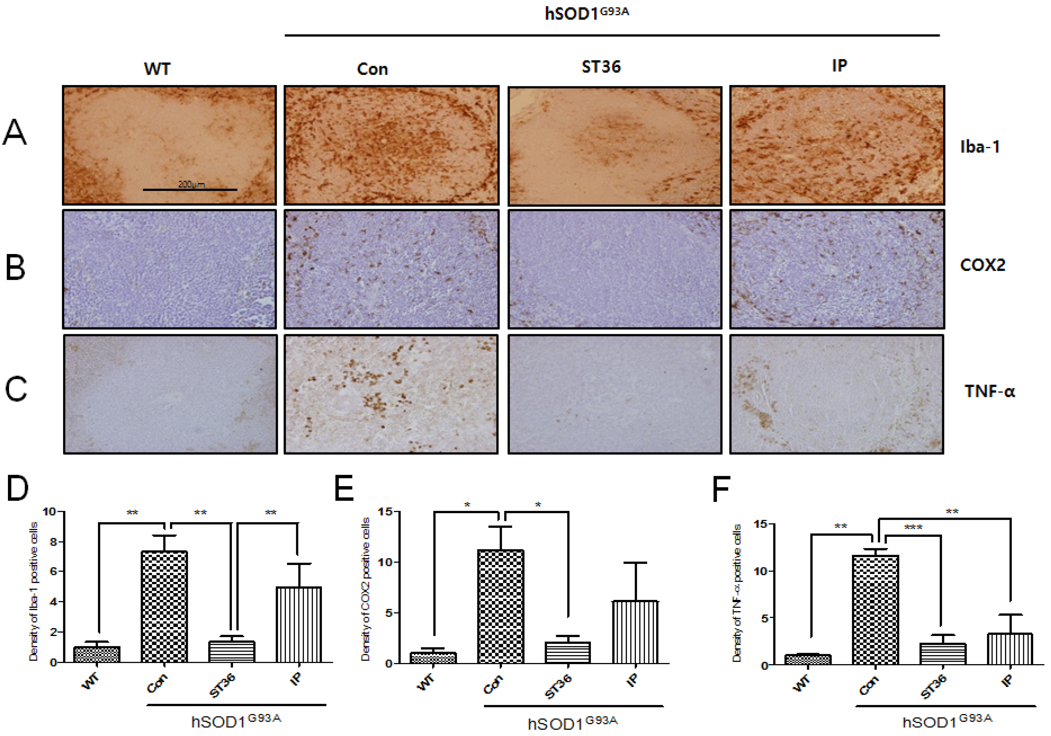 Toxins 07 02835 g002 1024