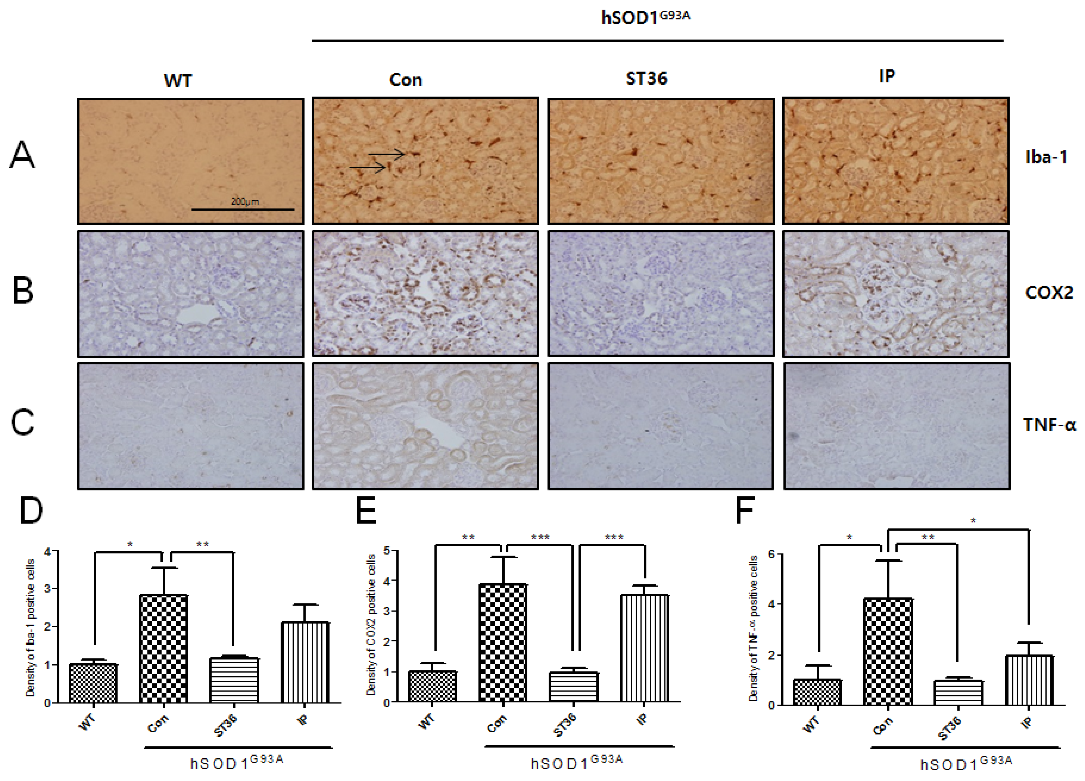 Toxins 07 02835 g003 1024