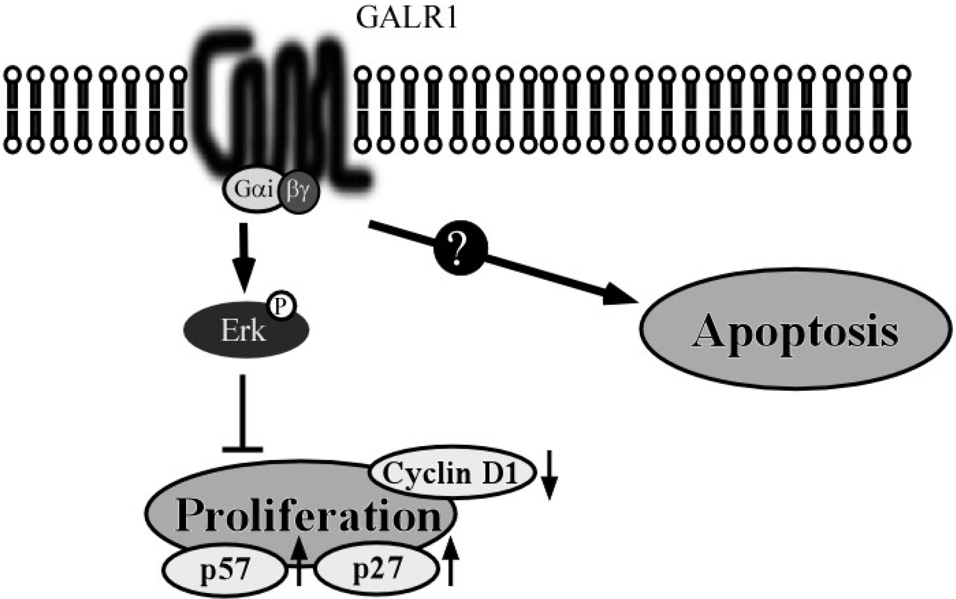 Toxins 07 02959 g002 1024