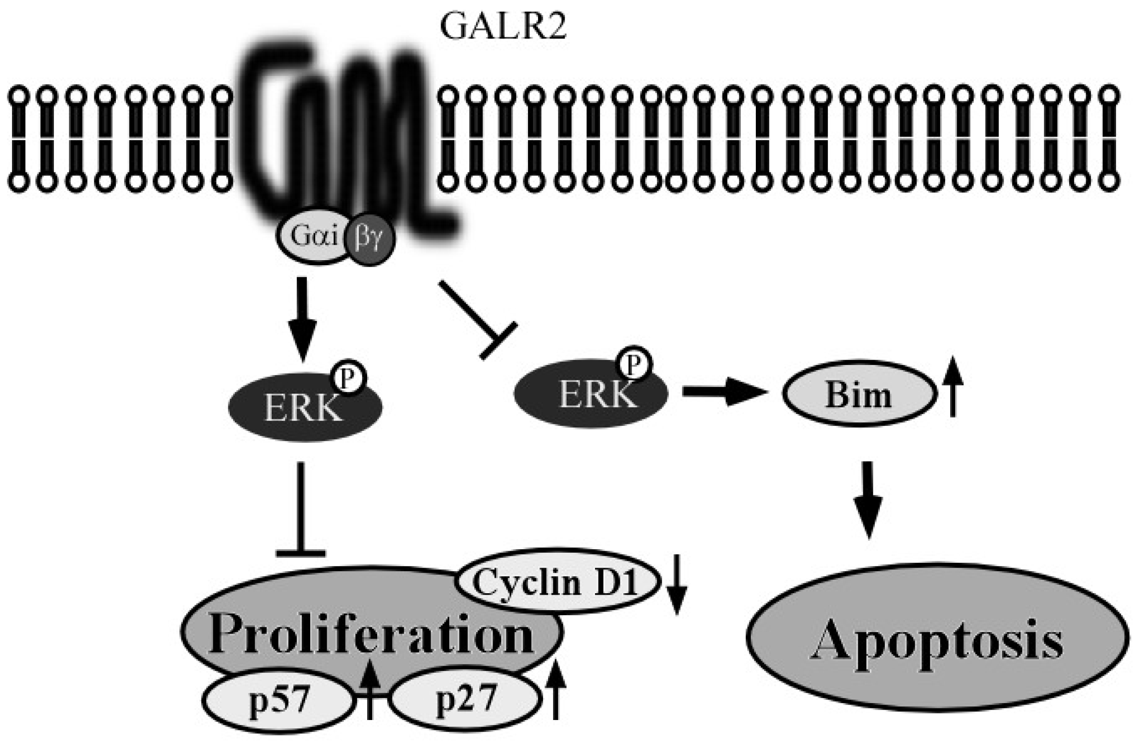 Toxins 07 02959 g005 1024