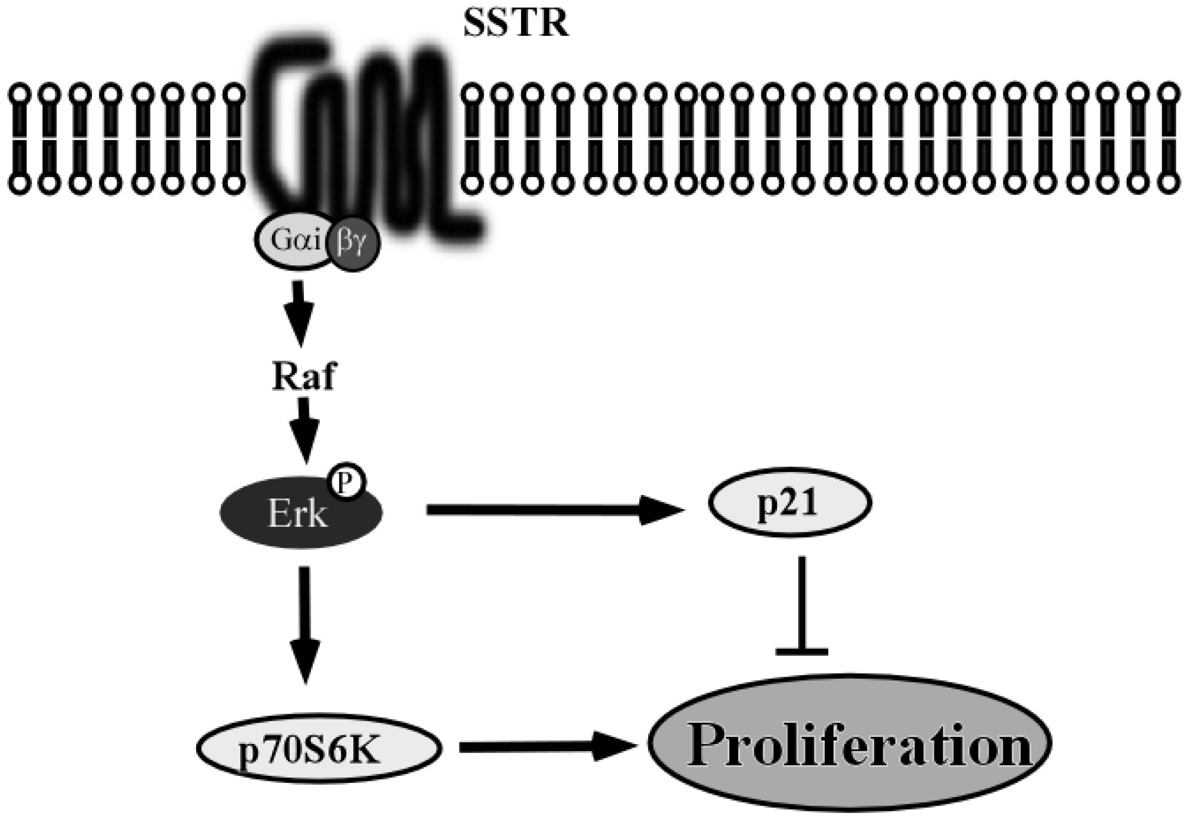Toxins 07 02959 g008 1024