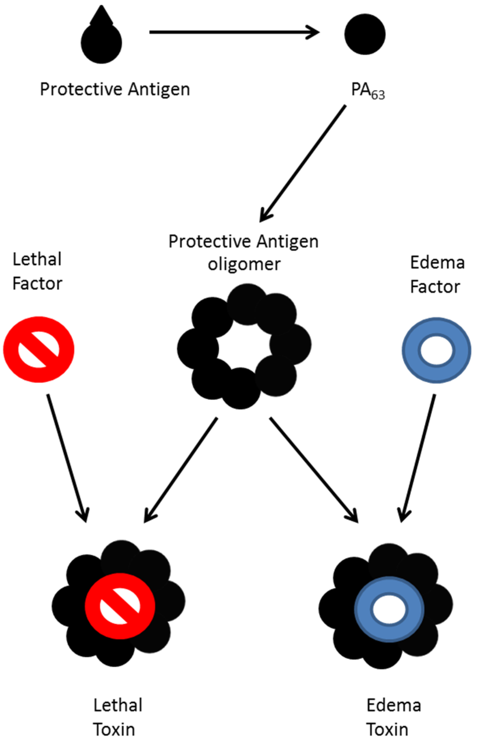 Toxins 07 03497 g001