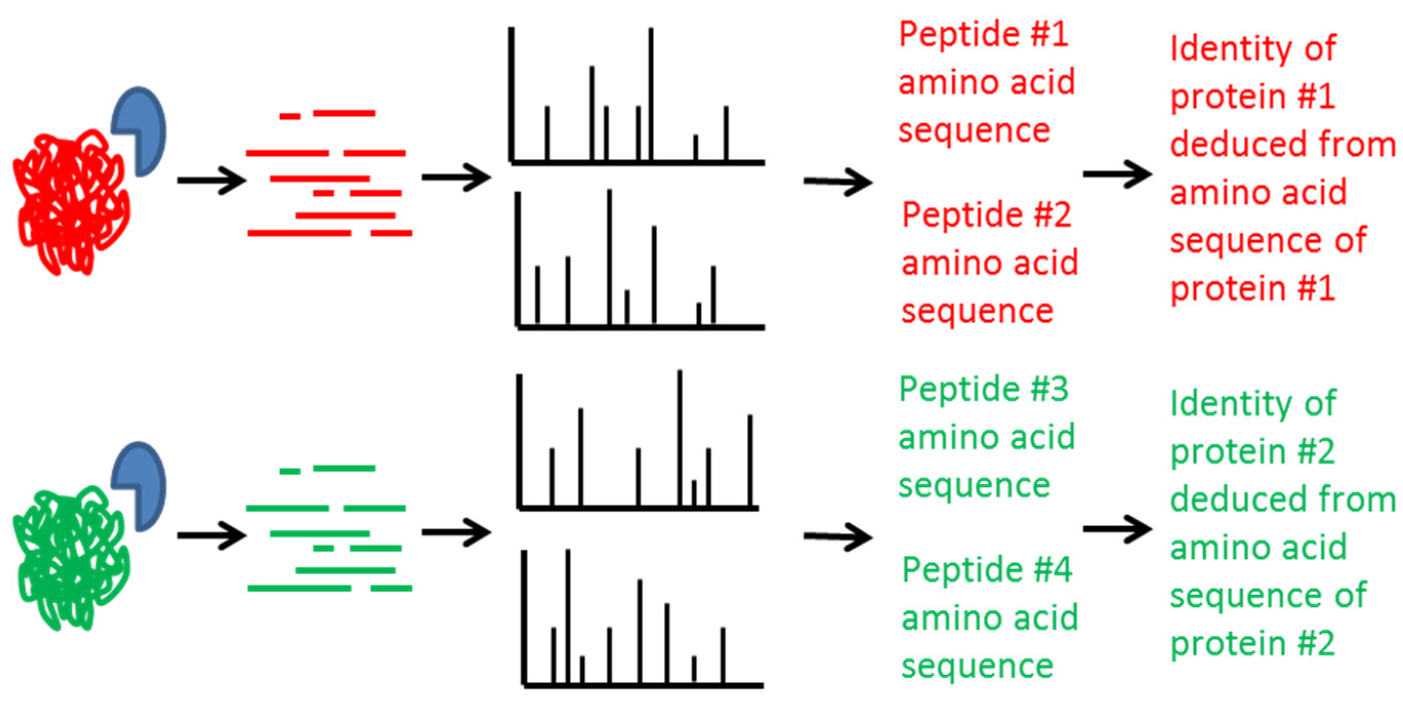 Toxins | Free Full-Text | Mass Spectrometric Detection of ...