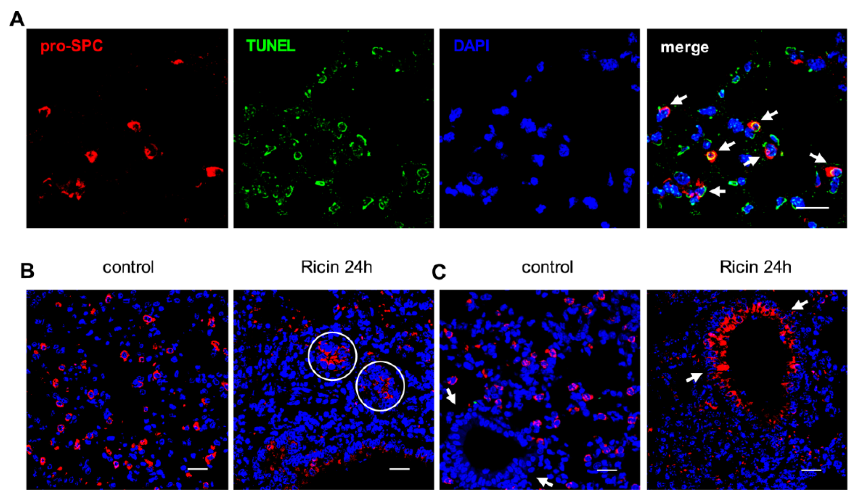 Toxins 07 04817 g006