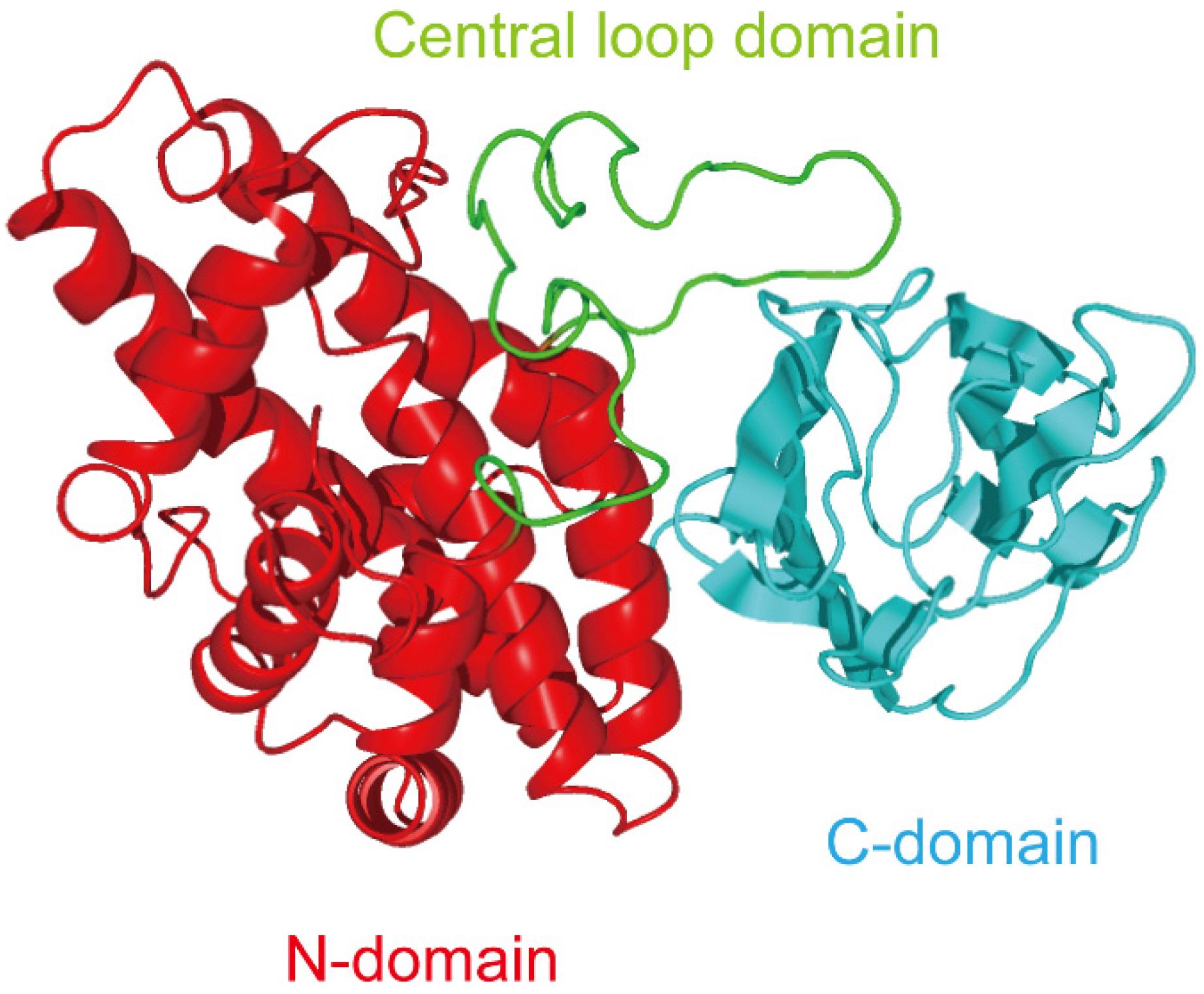 clostridium toxin)