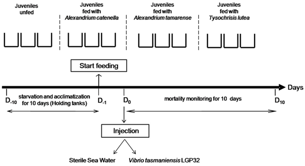 Toxins 08 00024 g005 1024