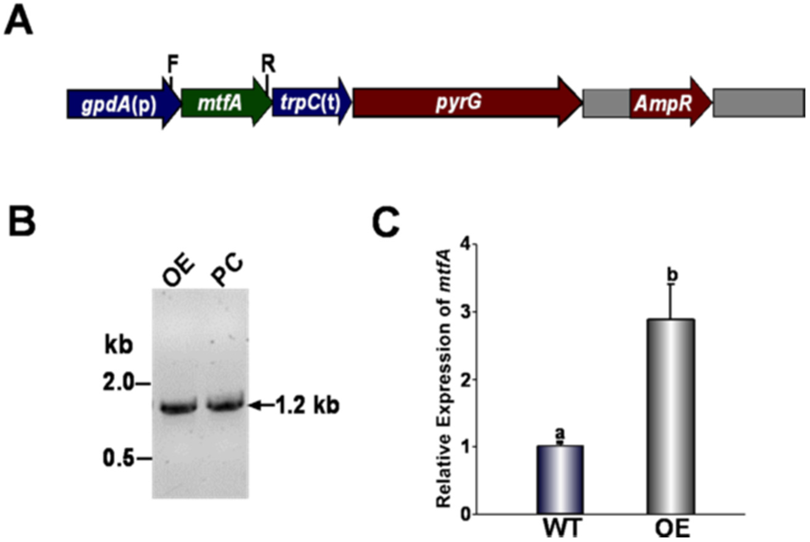 Toxins 08 00029 g002