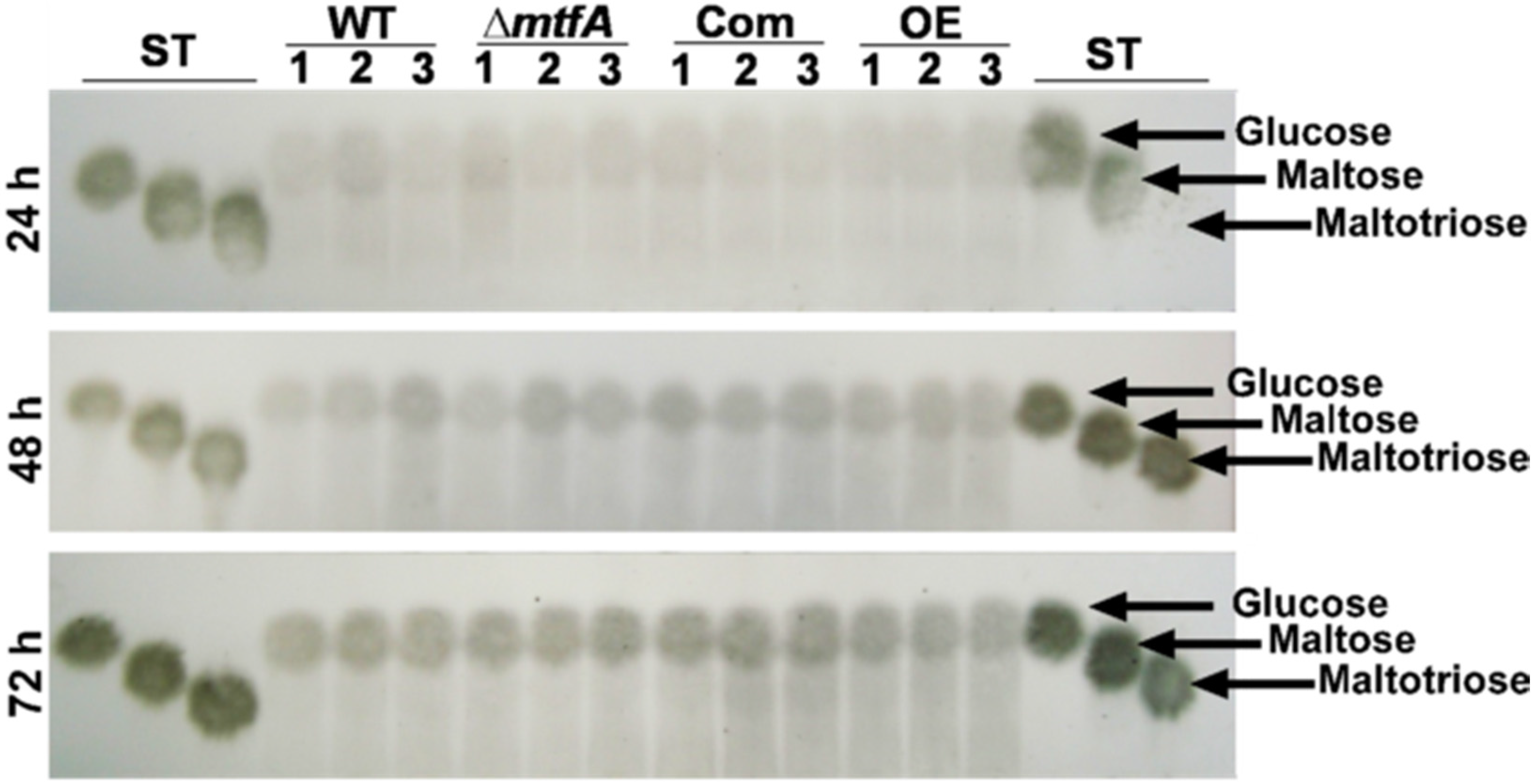 Toxins 08 00029 g009