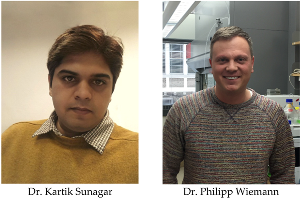 Toxins 08 00041 i001