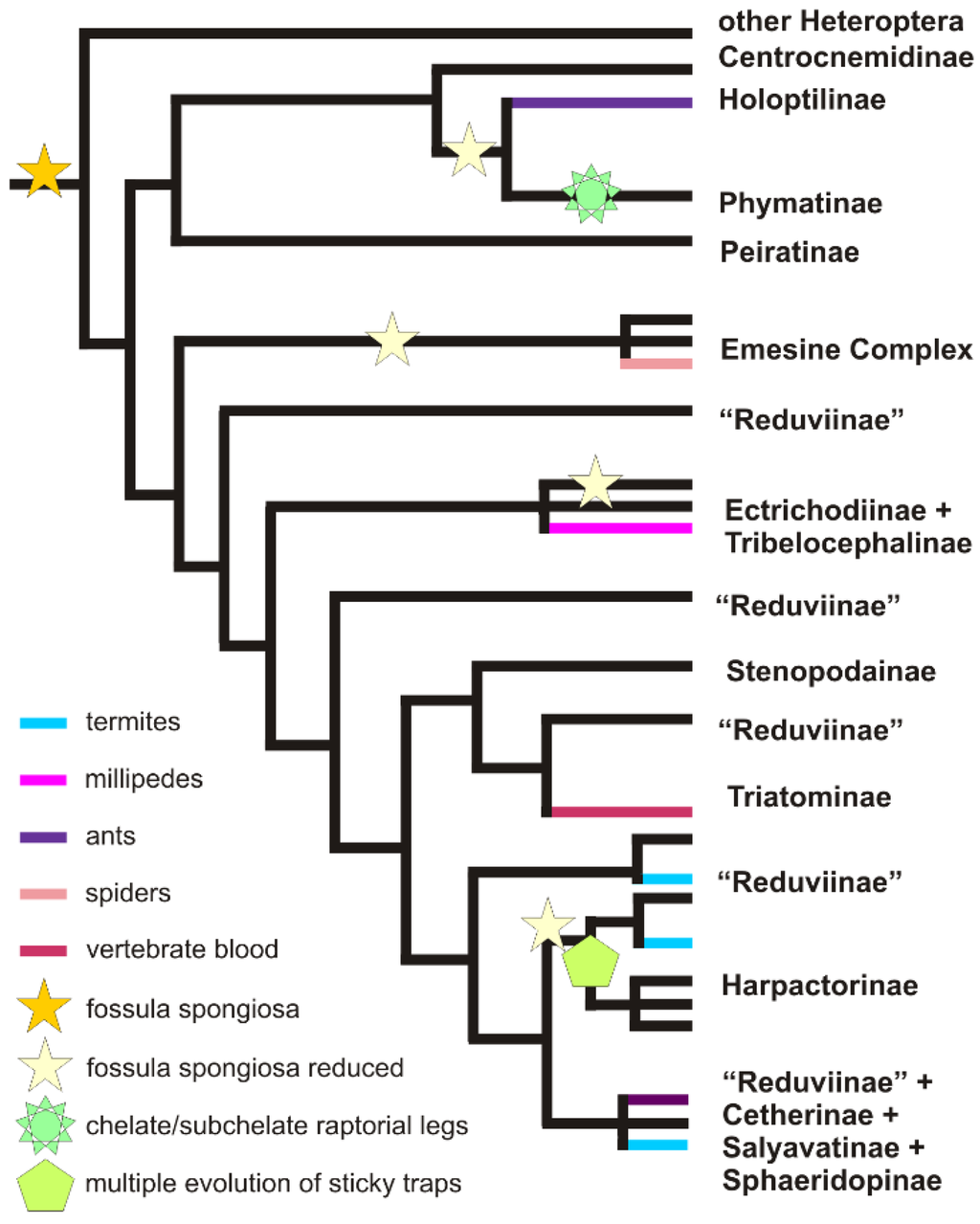 Toxins 08 00043 g004 1024