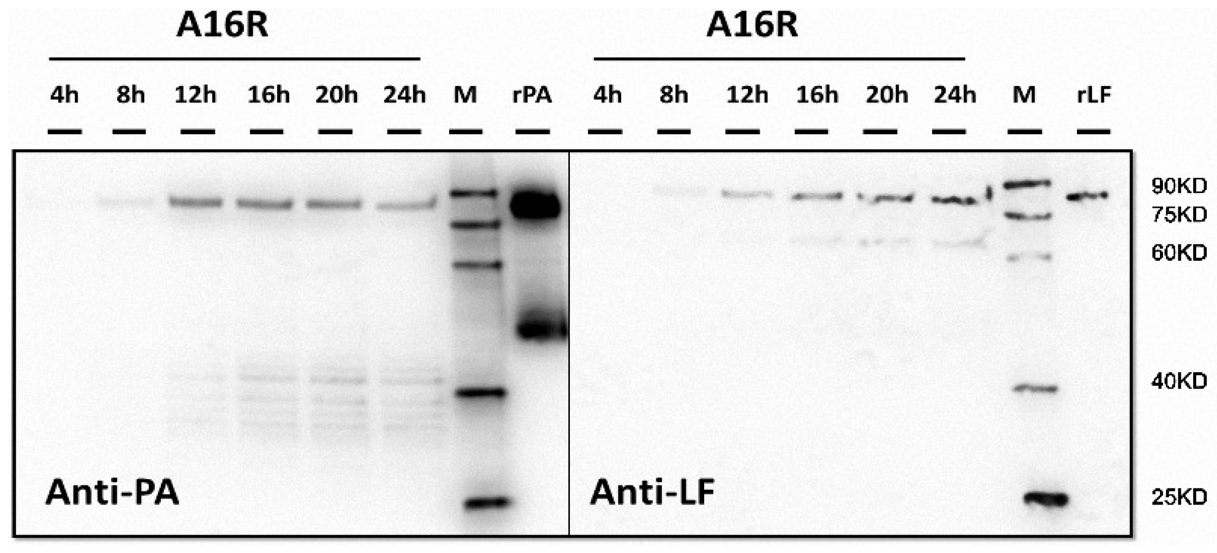 Toxins 08 00056 g006