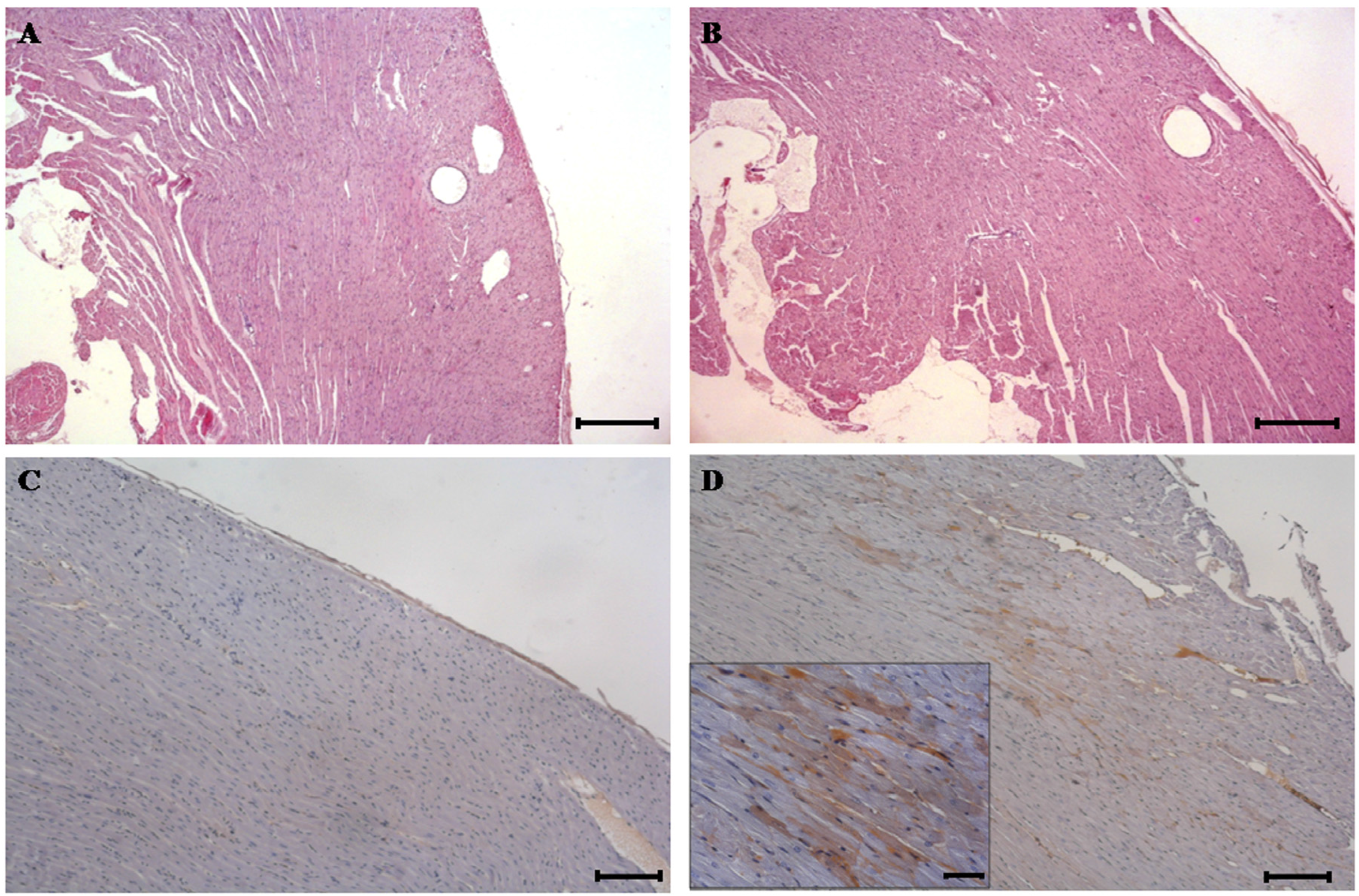 Toxins 08 00068 g001