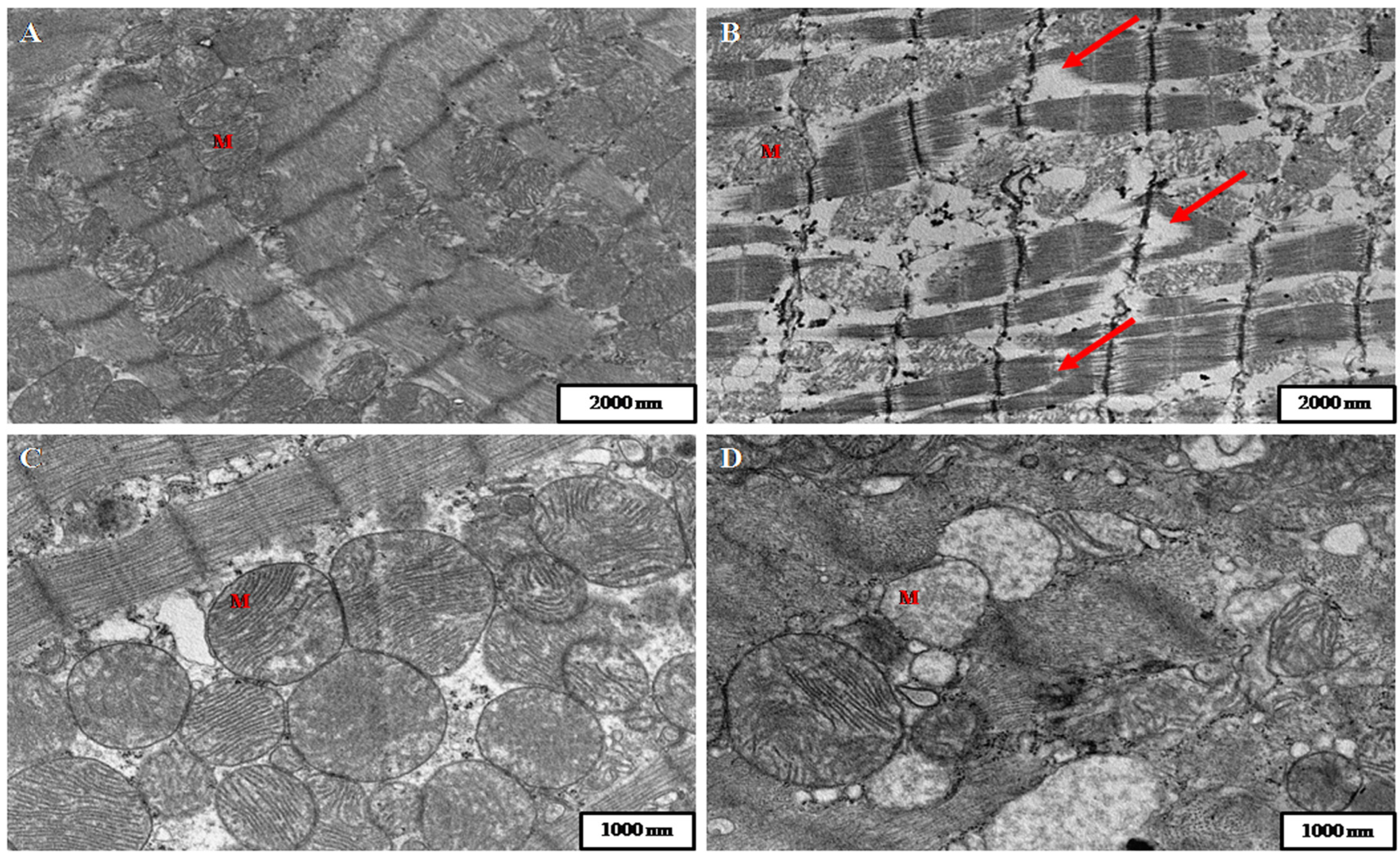 Toxins 08 00068 g002