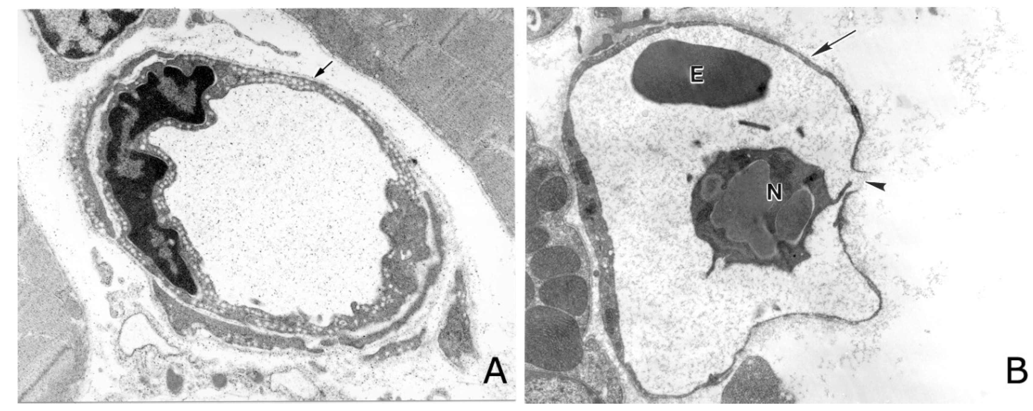 Toxins 08 00093 g001