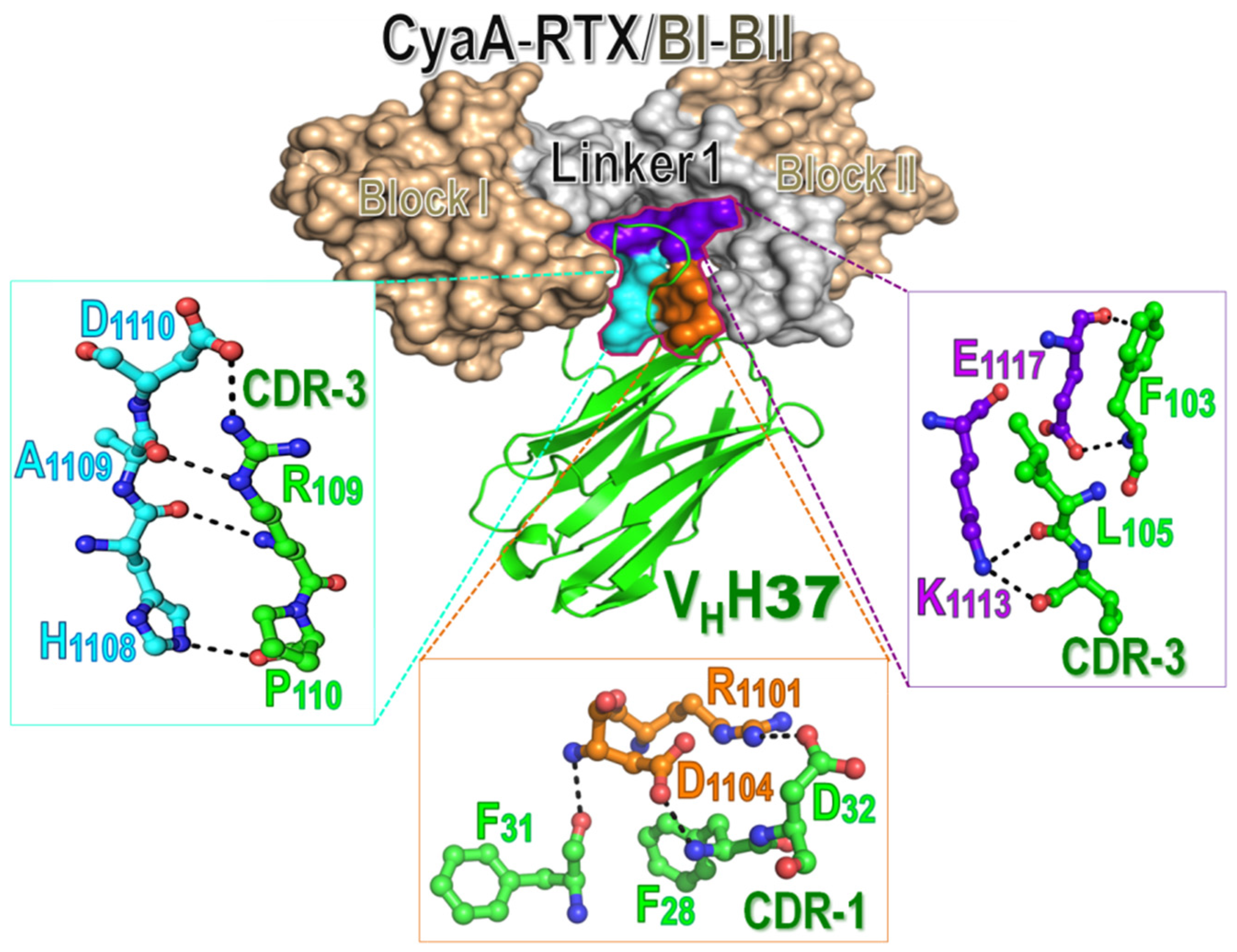 Toxins 08 00099 g005 1024