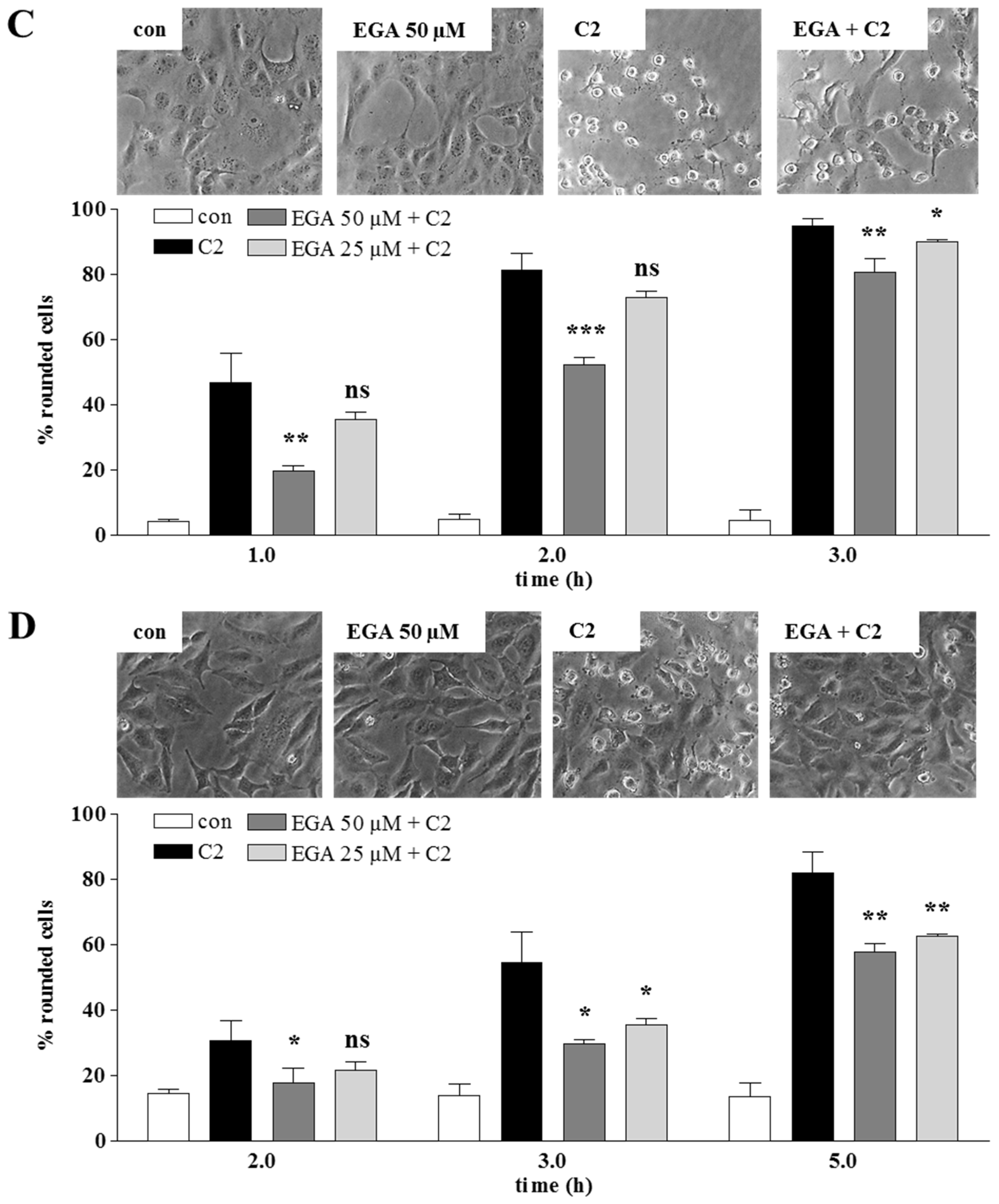 Toxins 08 00101 g001b 1024