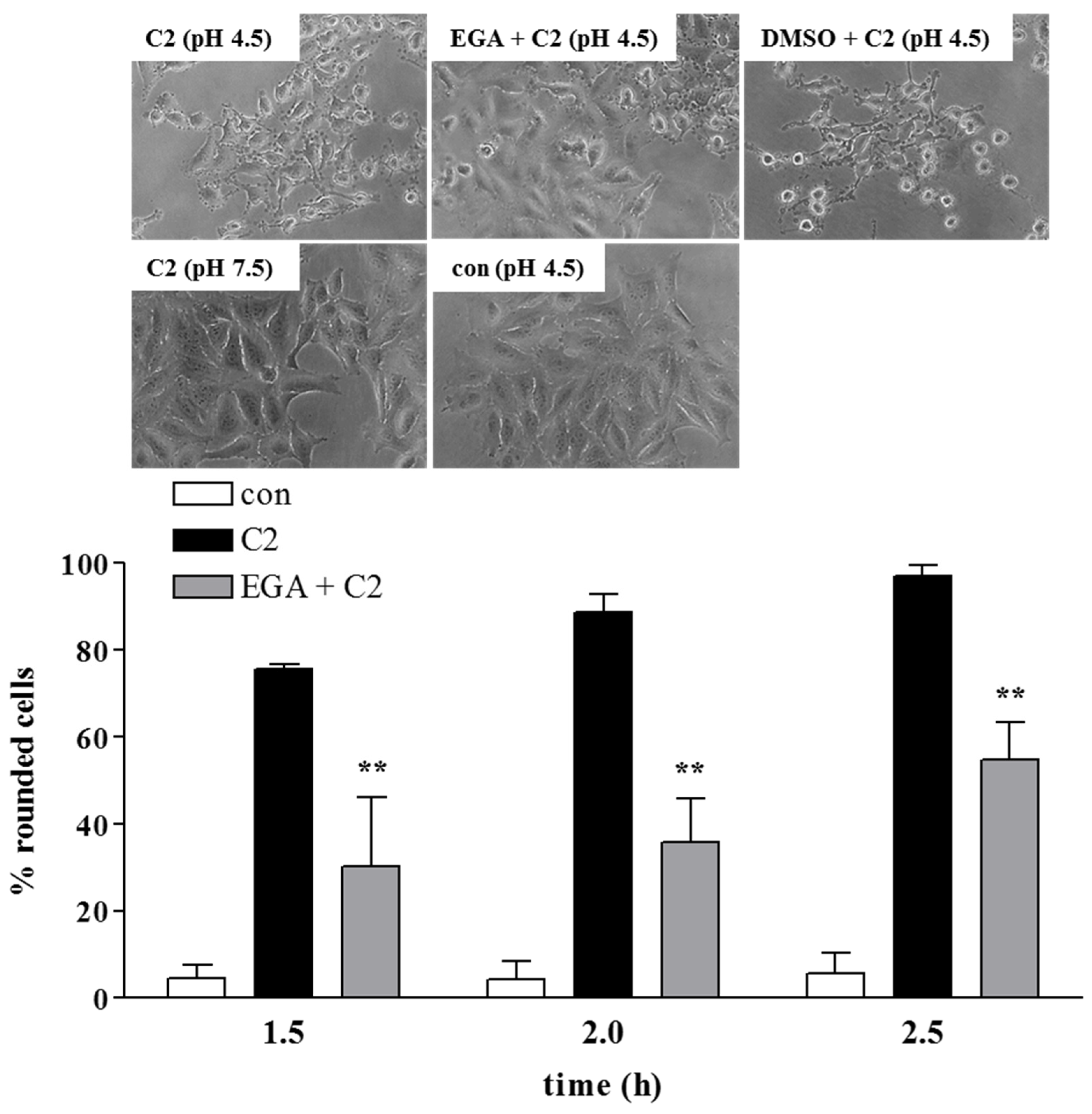 Toxins 08 00101 g005 1024