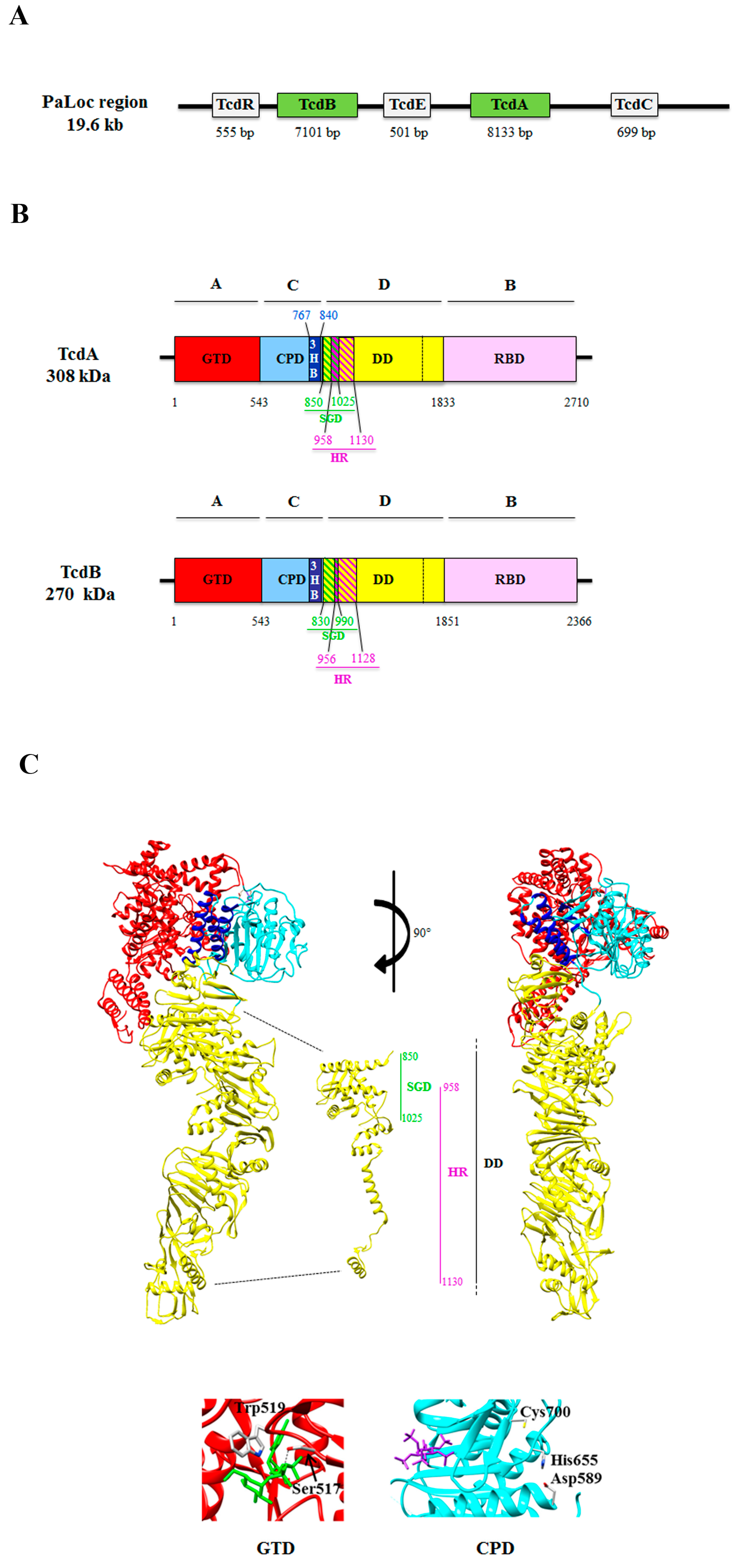 [Pathogenesis, clinical characteristics, diagnostics and treatment of bacterial foodborne diseases]