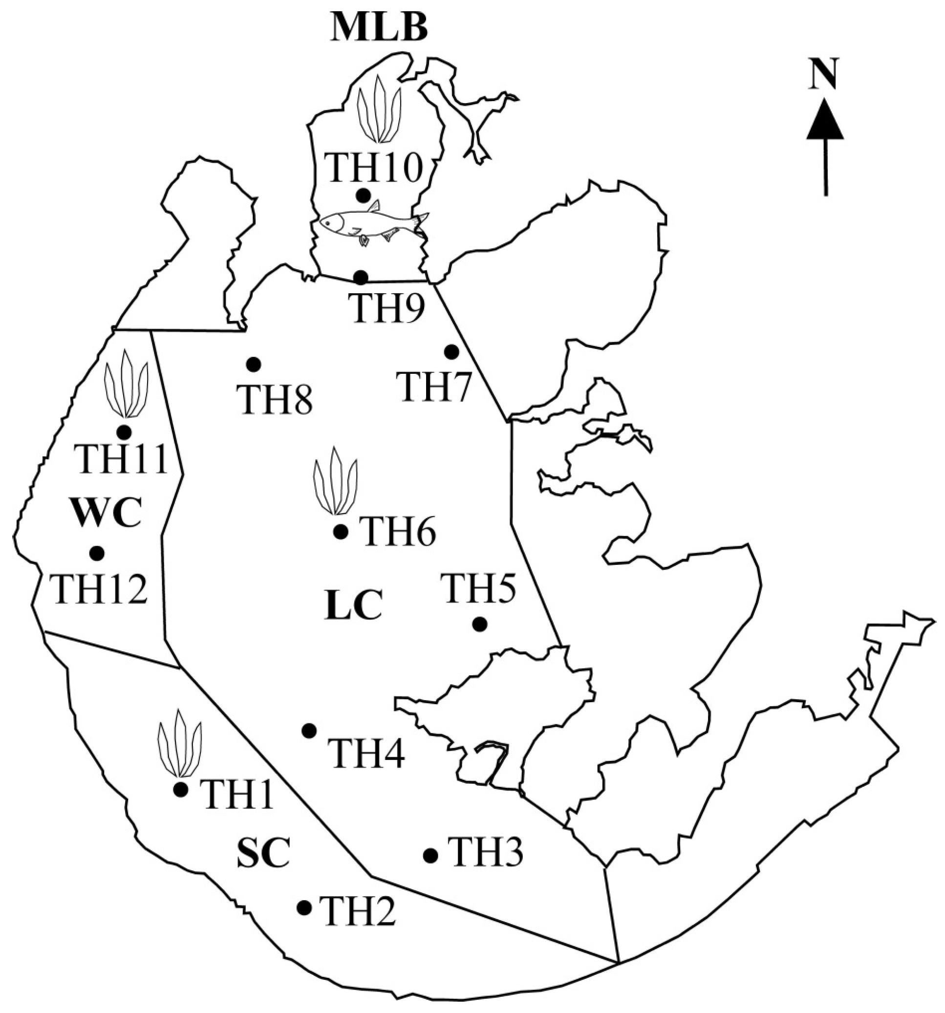 Toxins 08 00170 g005 1024