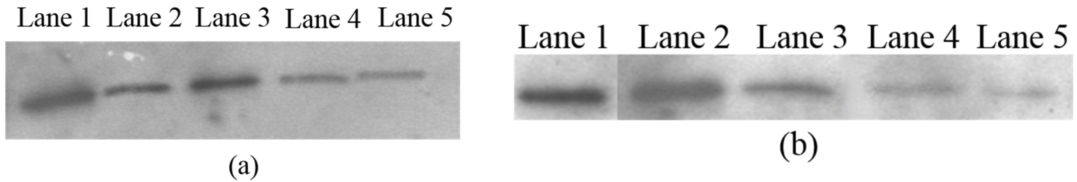 Toxins 08 00185 g002