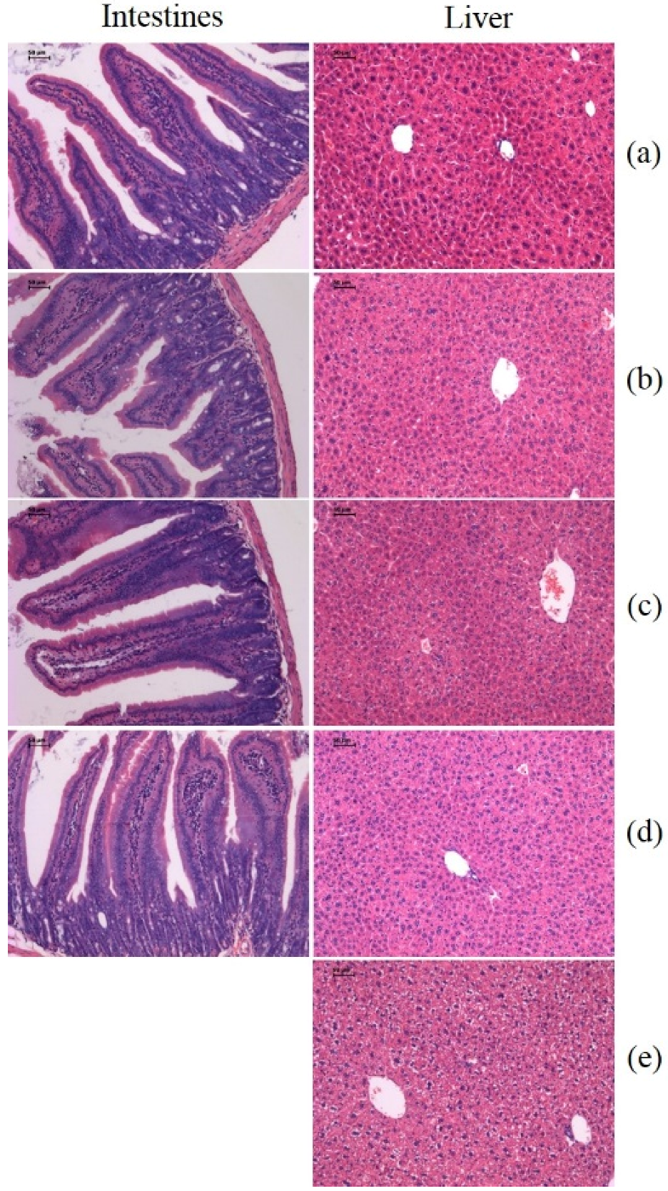 Toxins 08 00185 g007