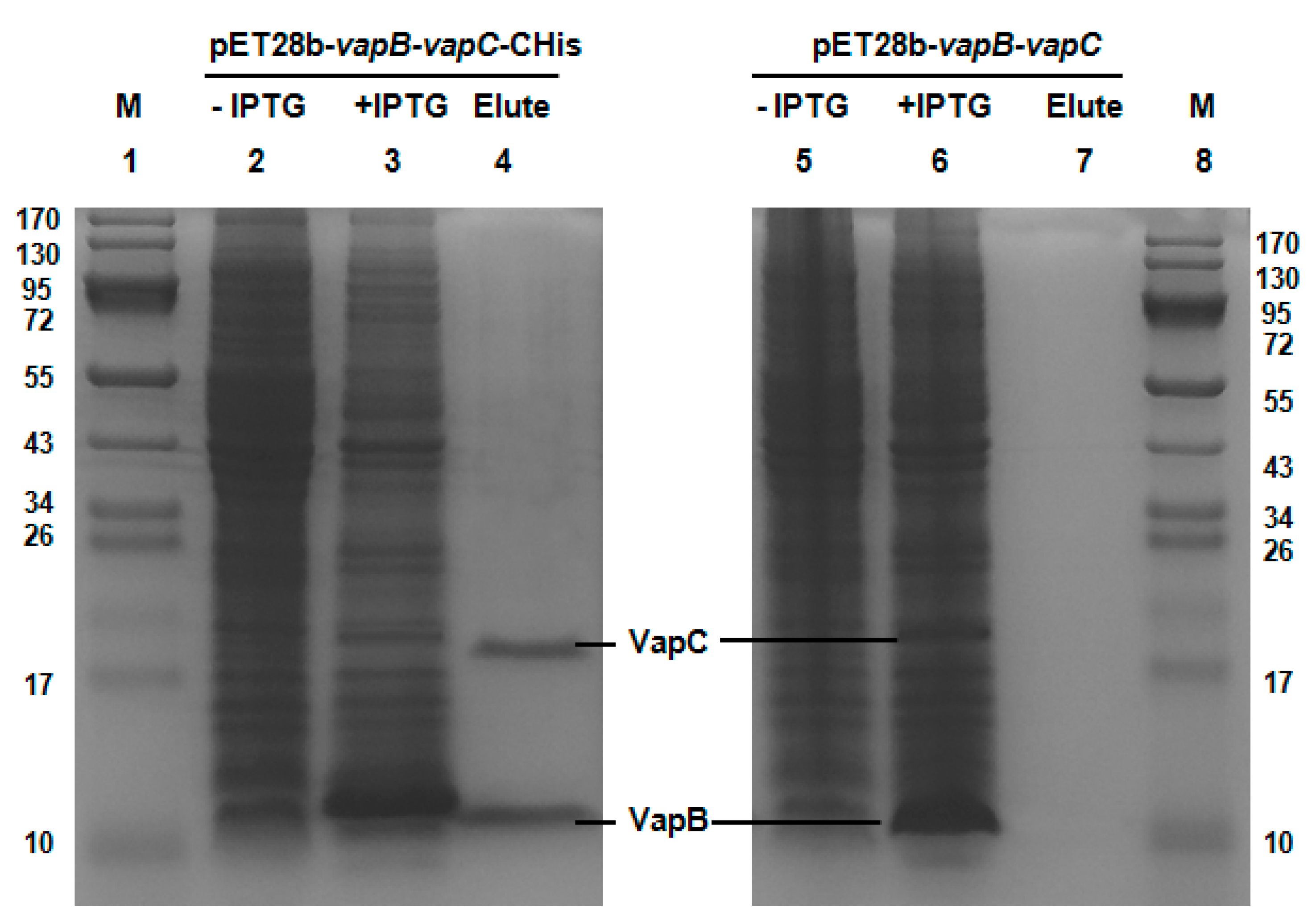 Toxins 08 00195 g002