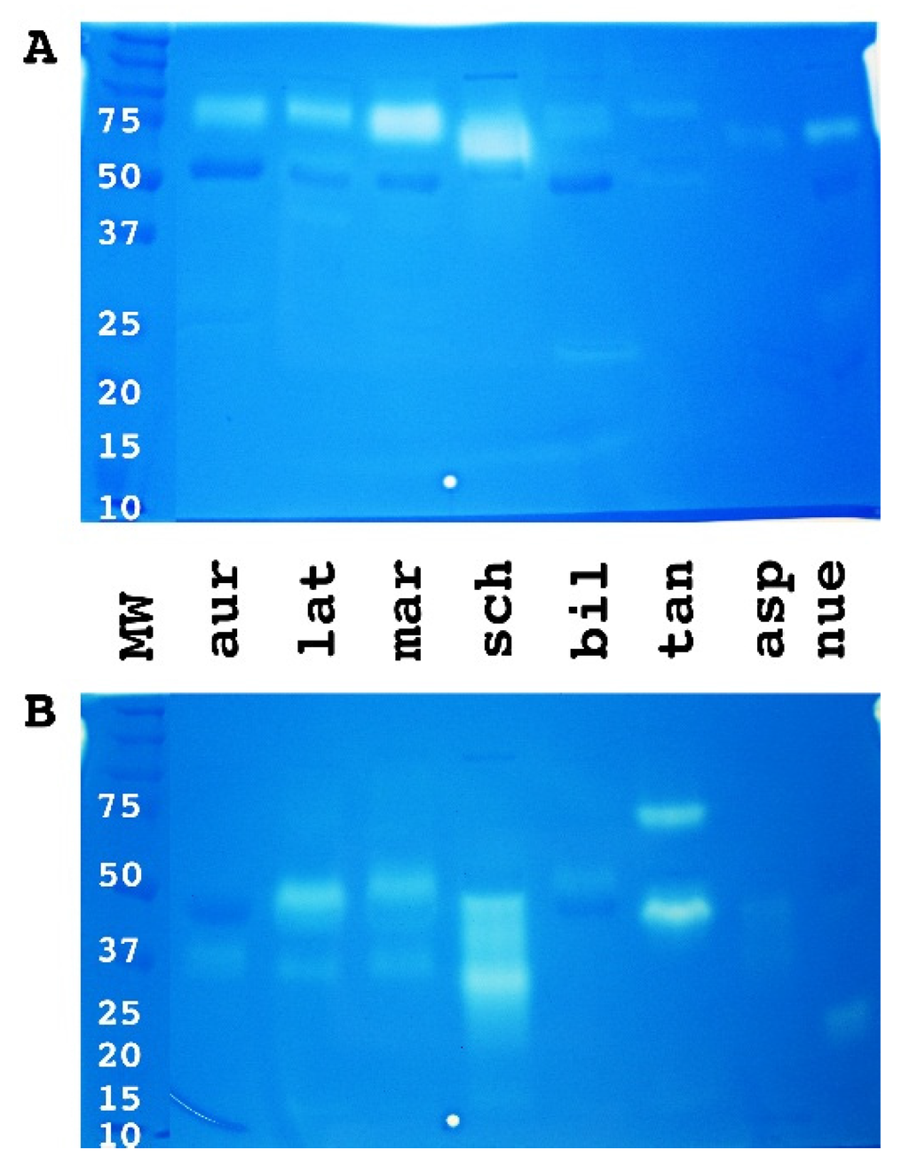 Toxins 08 00210 g005 1024