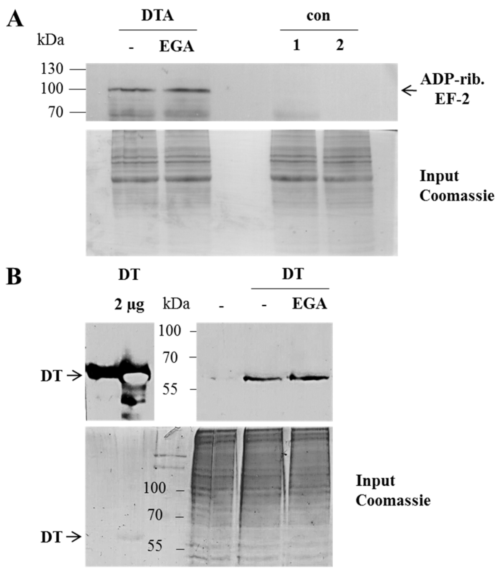 Toxins 08 00221 g003a