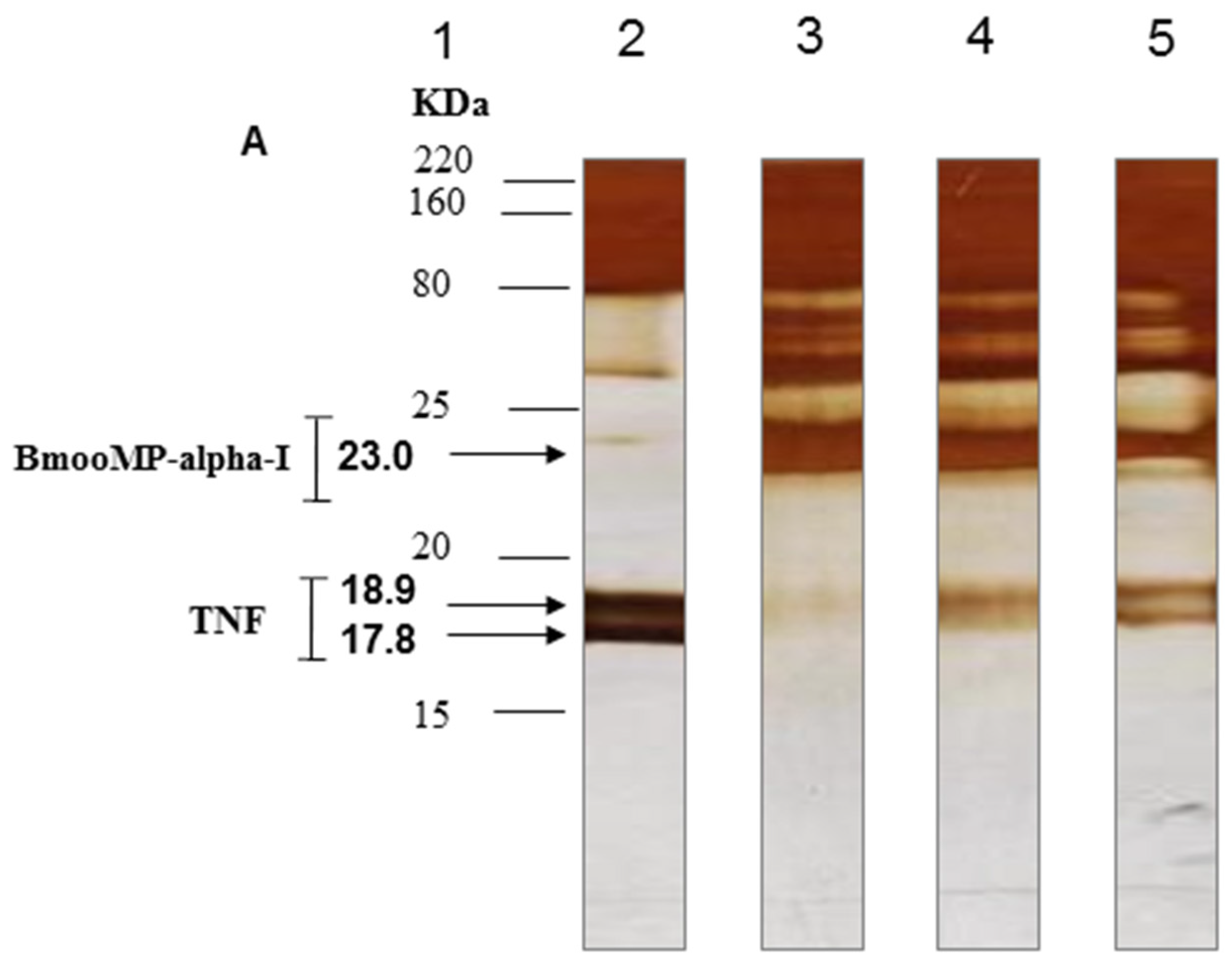 Toxins 08 00223 g005a