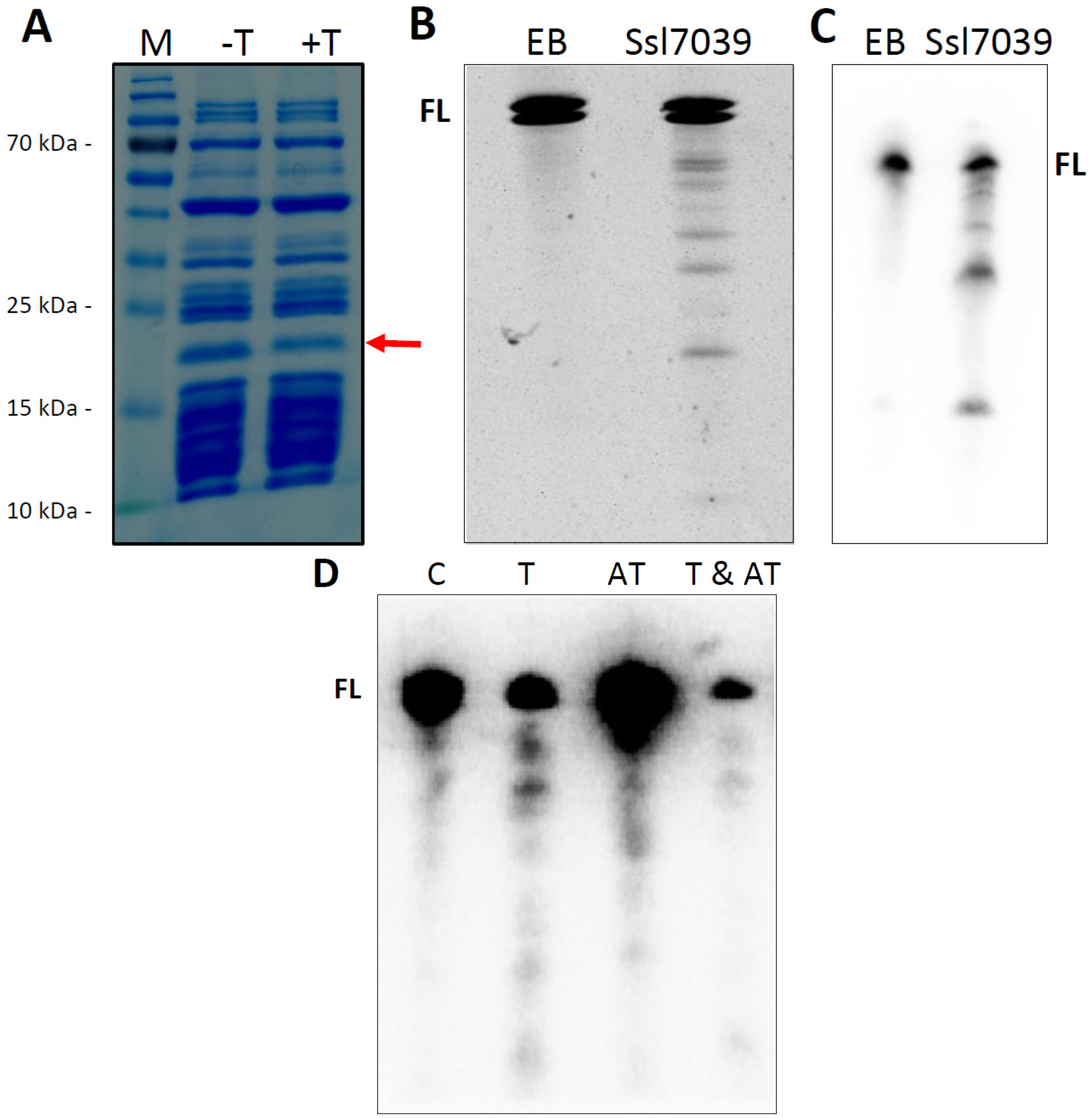 Toxins 08 00228 g006