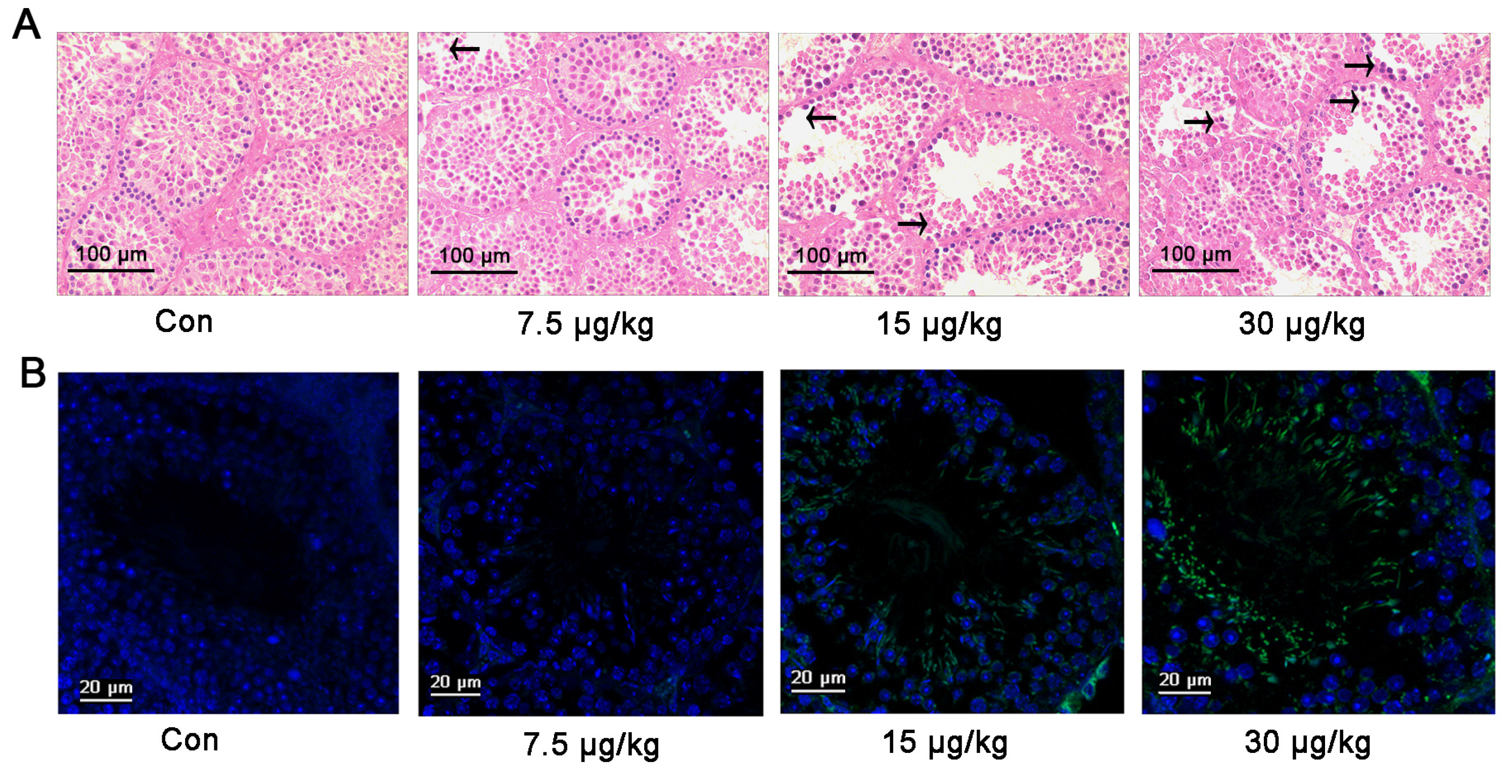 Toxins 08 00260 g003a 1024