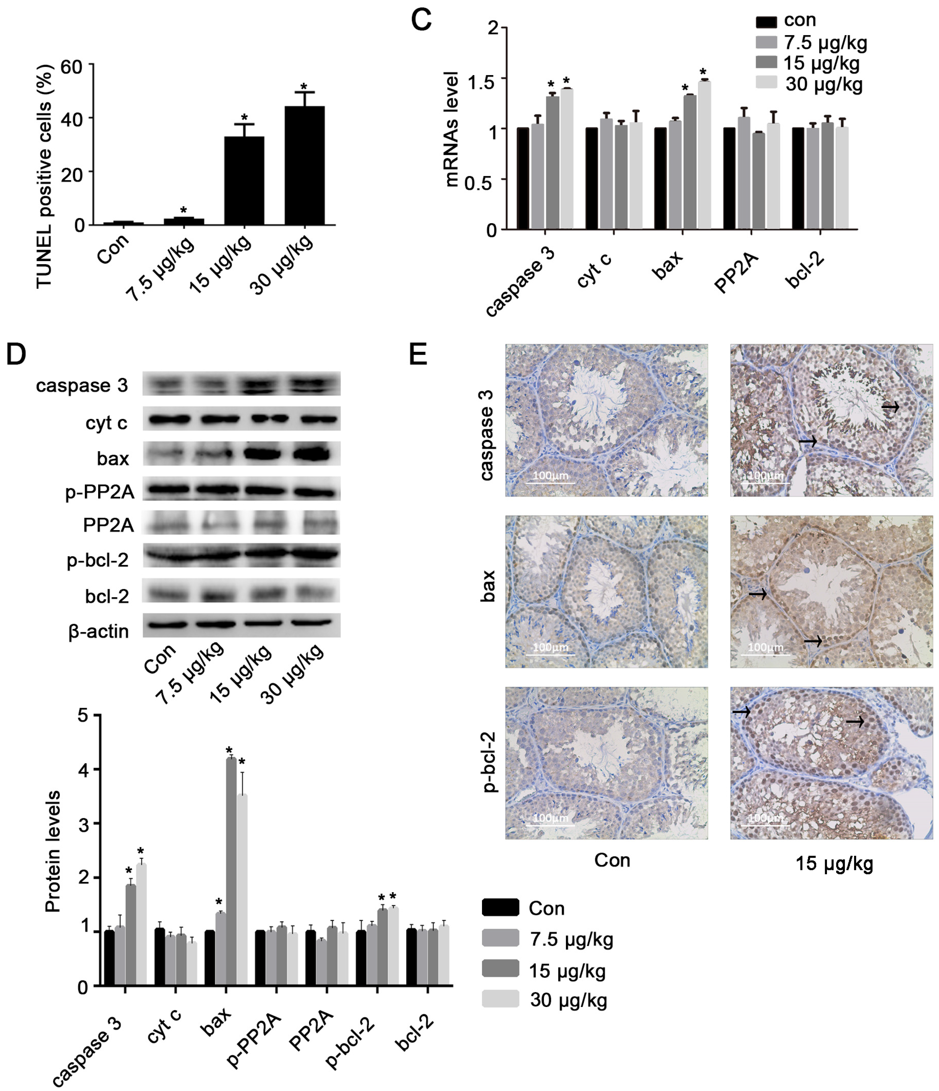 Toxins 08 00260 g003b 1024