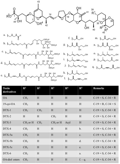 Toxins Free Full Text The Mechanism Of Diarrhetic Shellfish Poisoning Toxin Production In Prorocentrum Spp Physiological And Molecular Perspectives Html Toxins Free Full Text The Mechanism Of Diarrhetic Shellfish Poisoning Toxin Production In Prorocentrum Spp Physiological And Molecular Perspectives Html