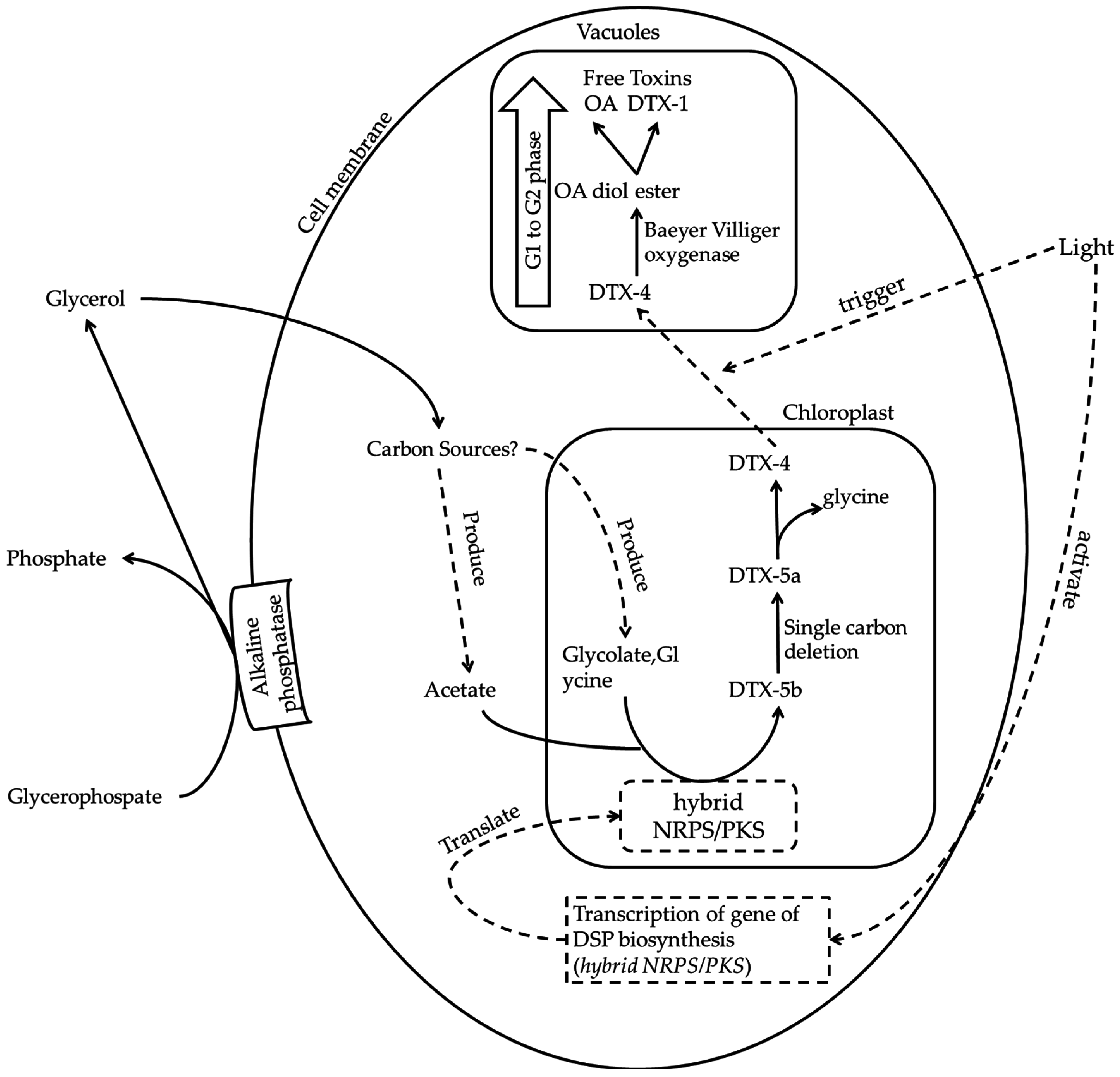 Toxins 08 00272 g002