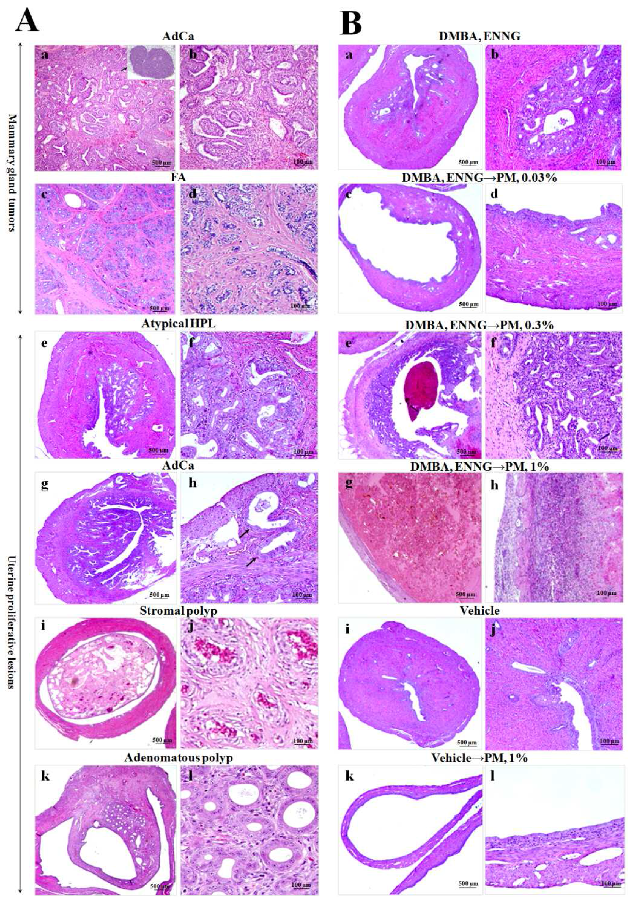 Toxins 08 00275 g004