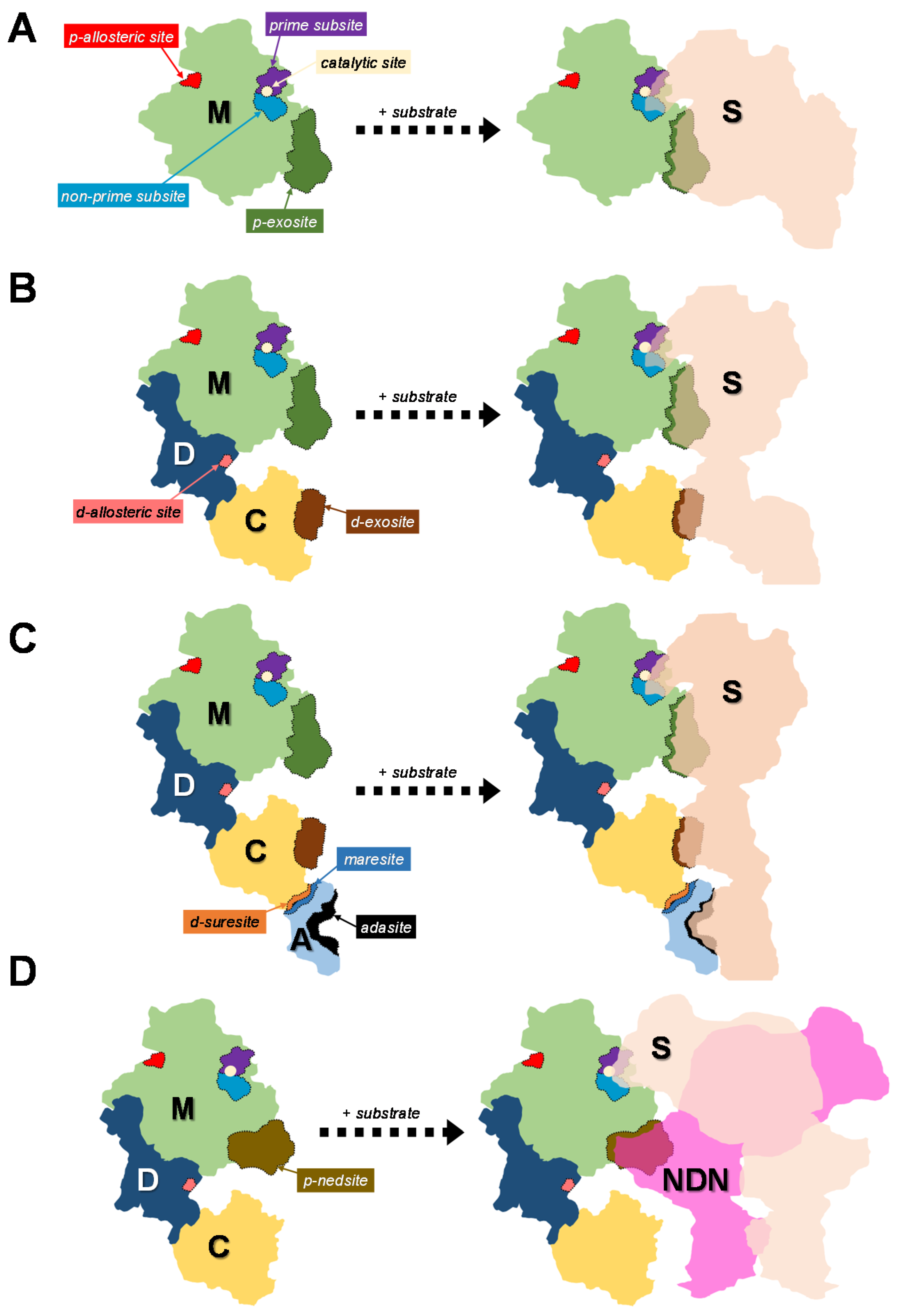 Toxins 08 00284 g004 550