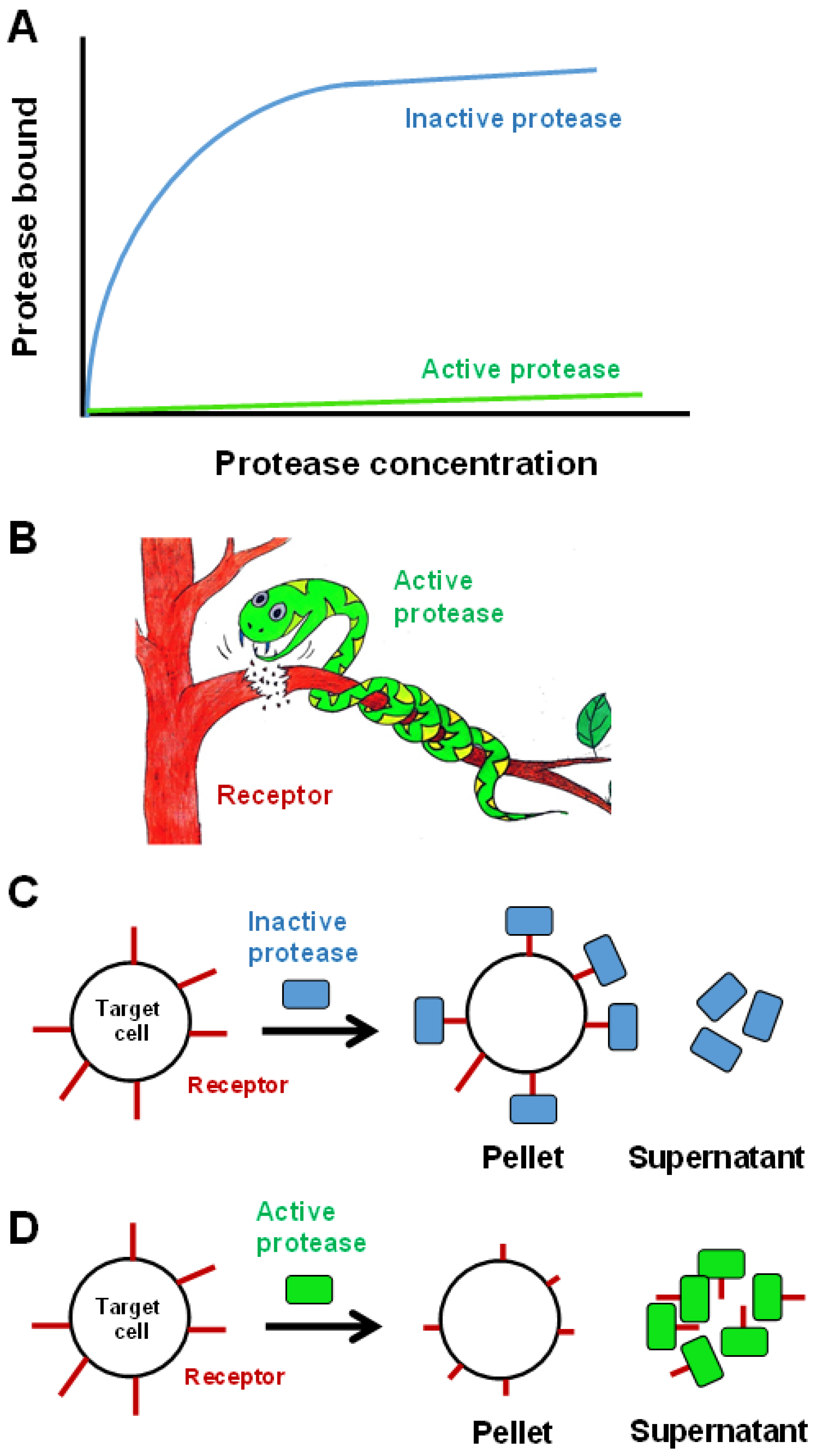 Toxins 08 00284 g005 550