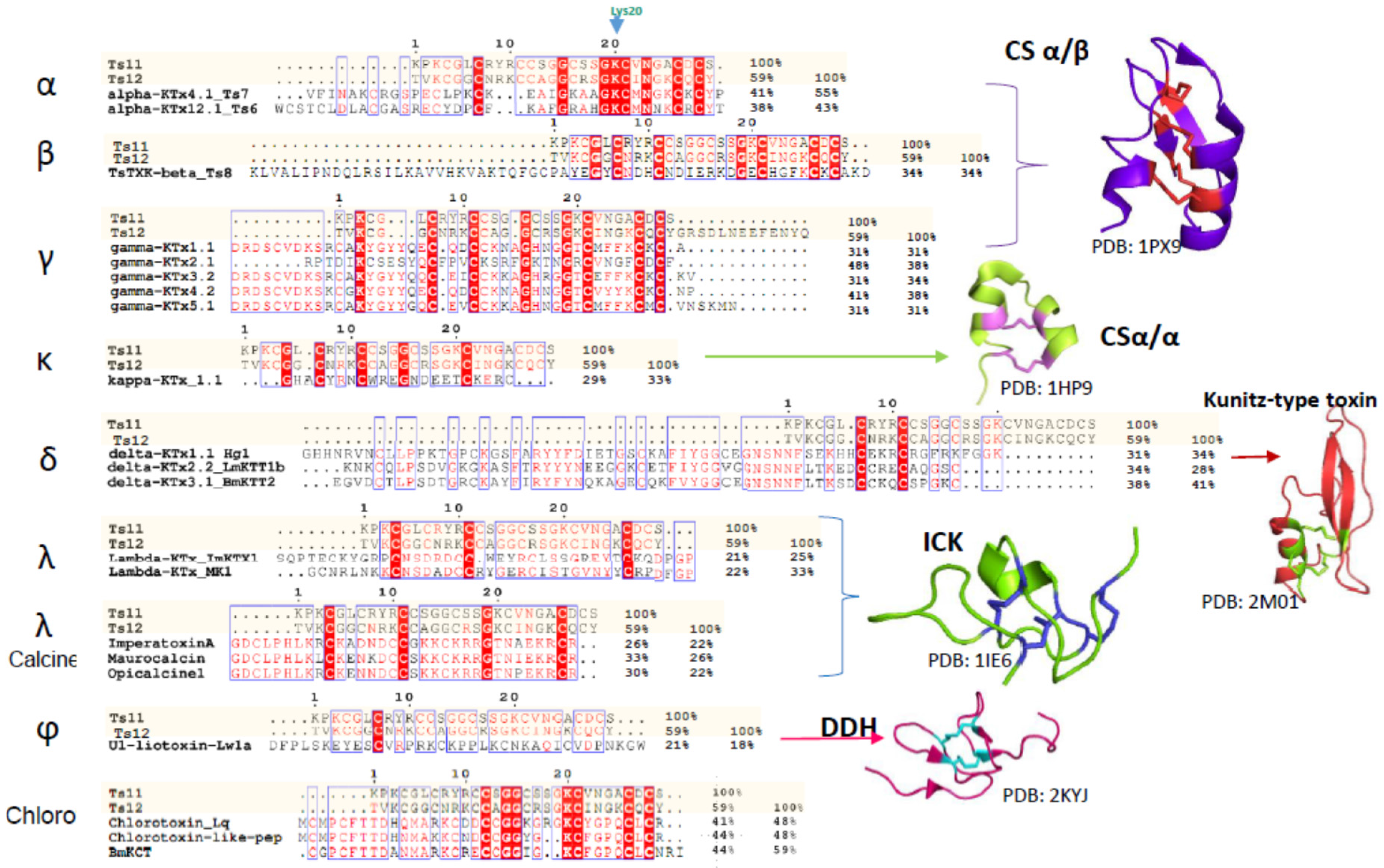Toxins Free Full Text Structural And Functional Elucidation Of Peptide Ts11 Shows Evidence Of A Novel Subfamily Of Scorpion Venom Toxins Html Toxins Free Full Text Structural And Functional Elucidation Of Peptide Ts11 Shows Evidence Of A Novel Subfamily Of Scorpion Venom Toxins Html
