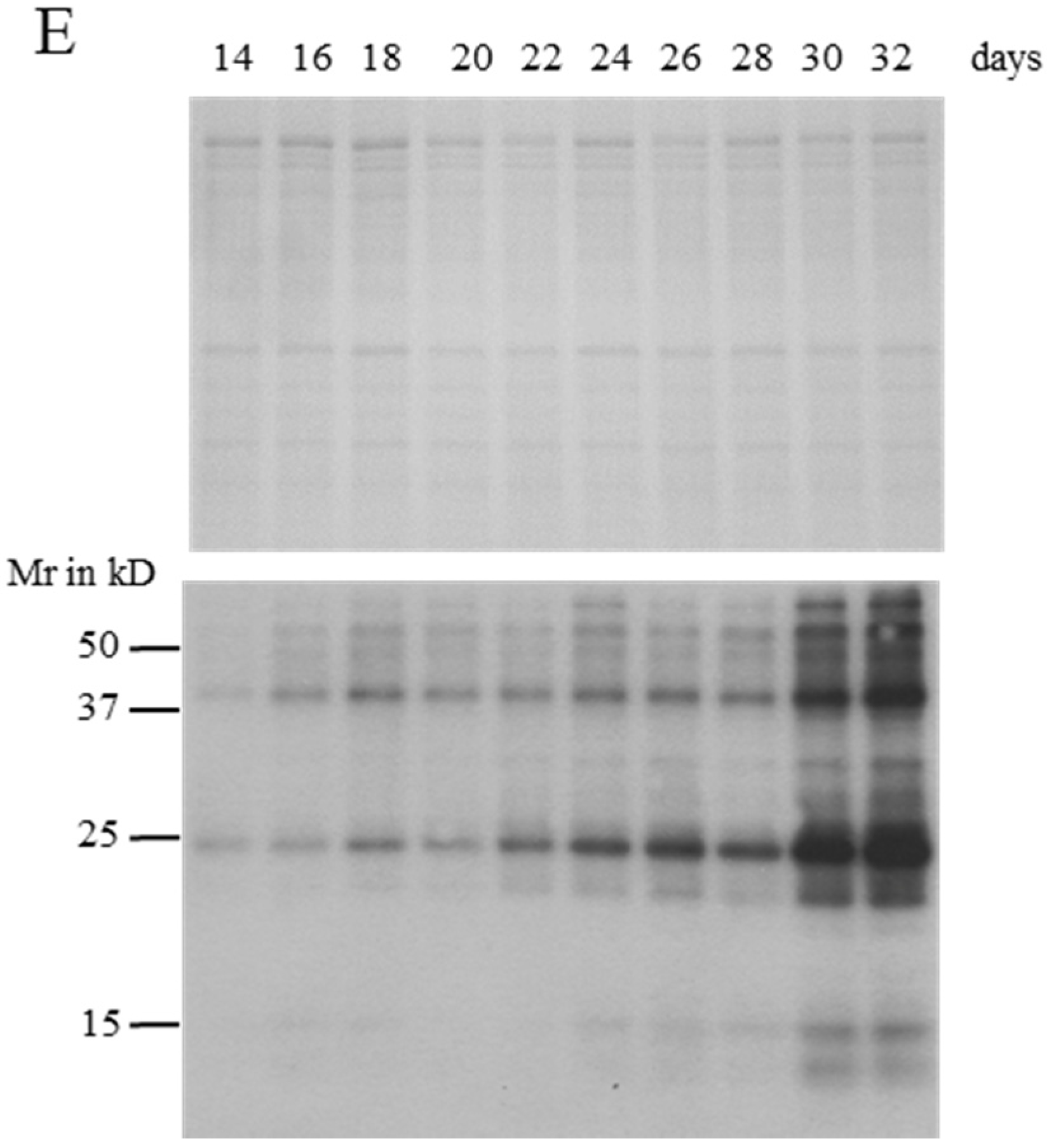 Toxins 08 00293 g002b