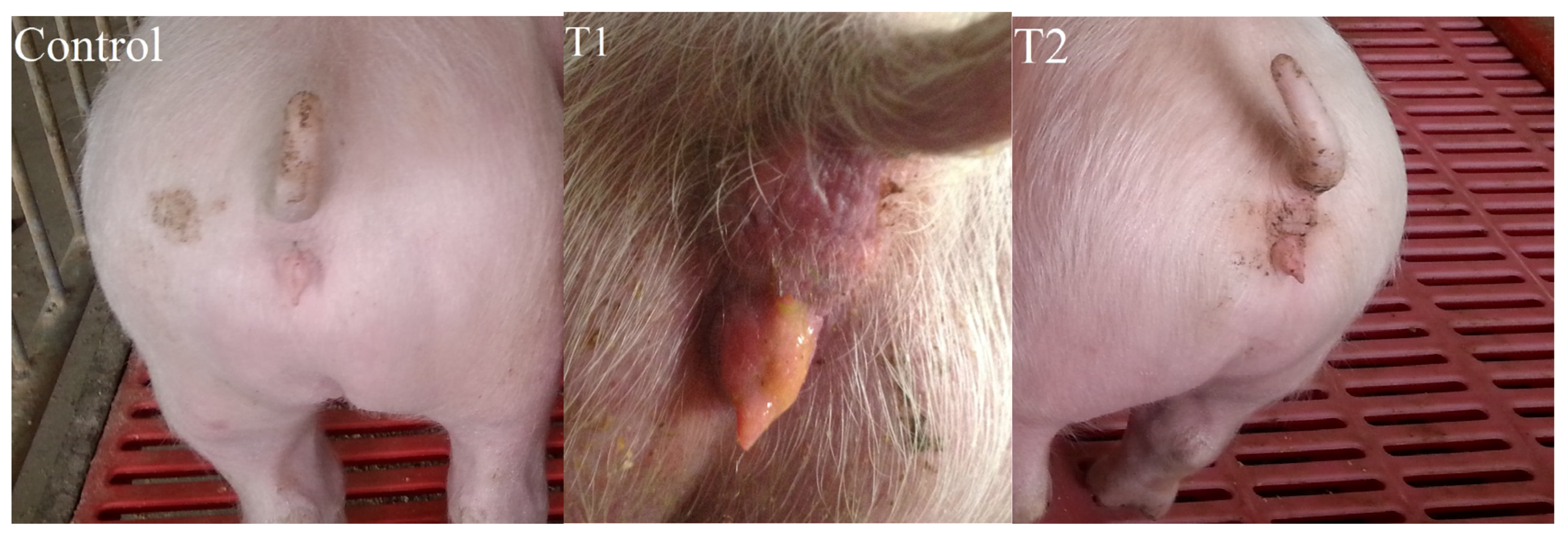 Toxins 08 00300 g002