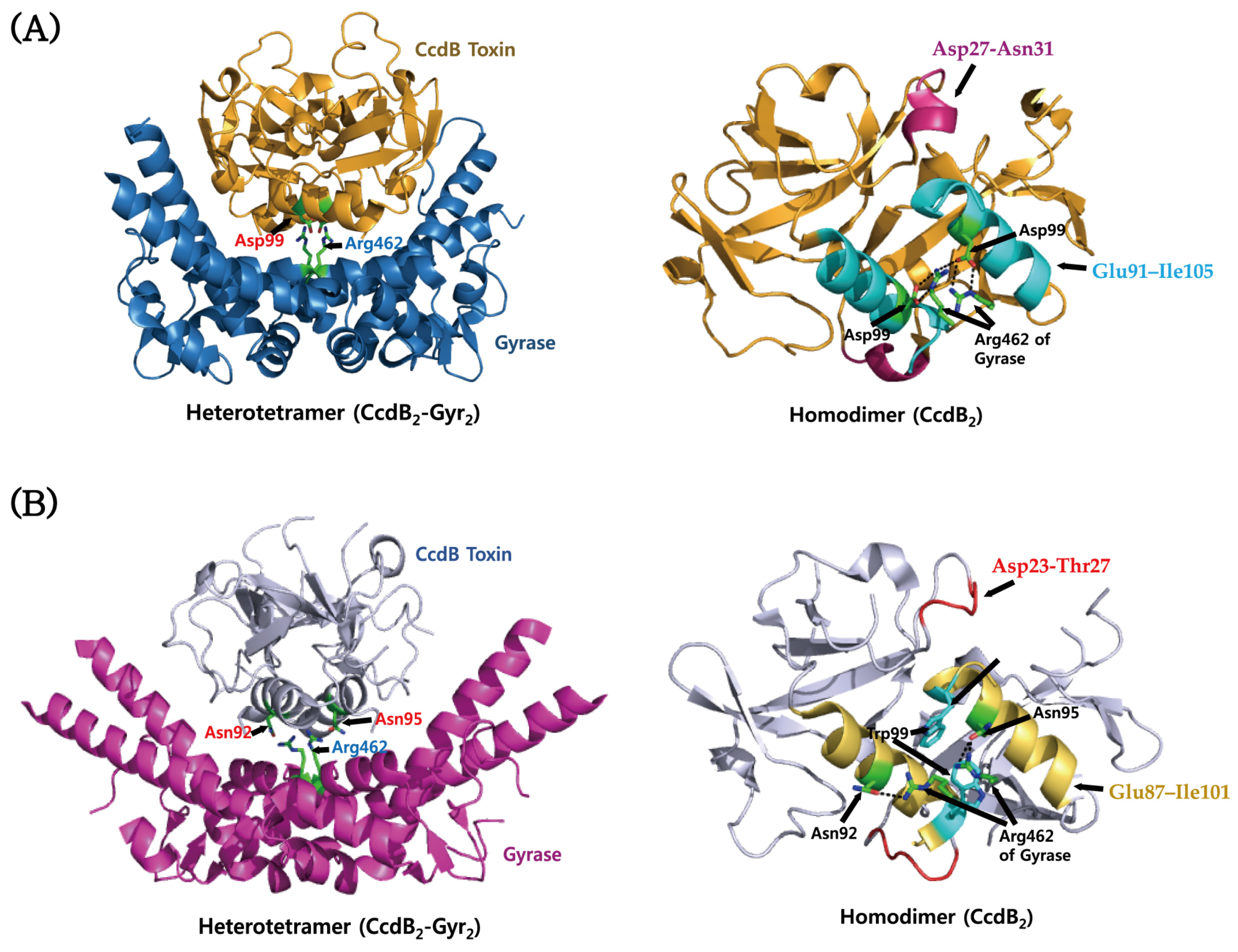 Toxins 08 00305 g003