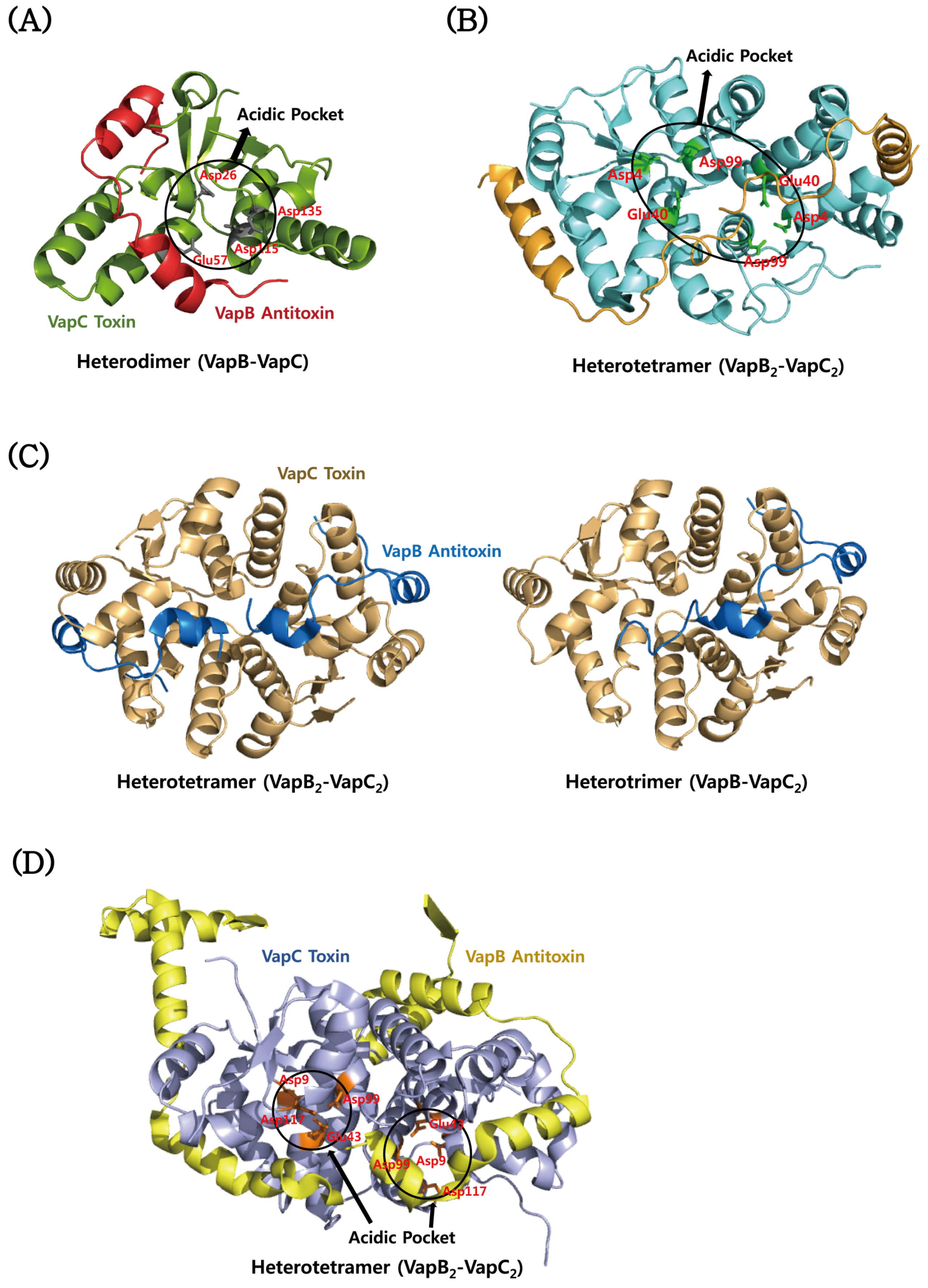 Toxins 08 00305 g004